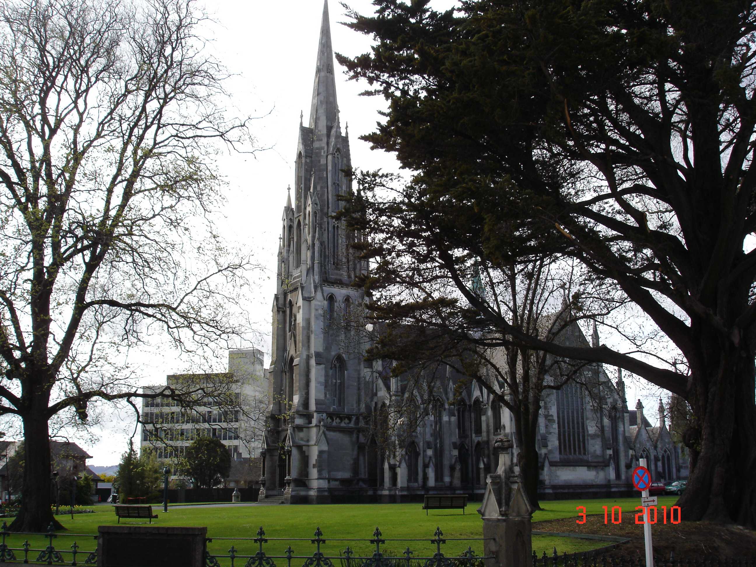 Dunedin-23