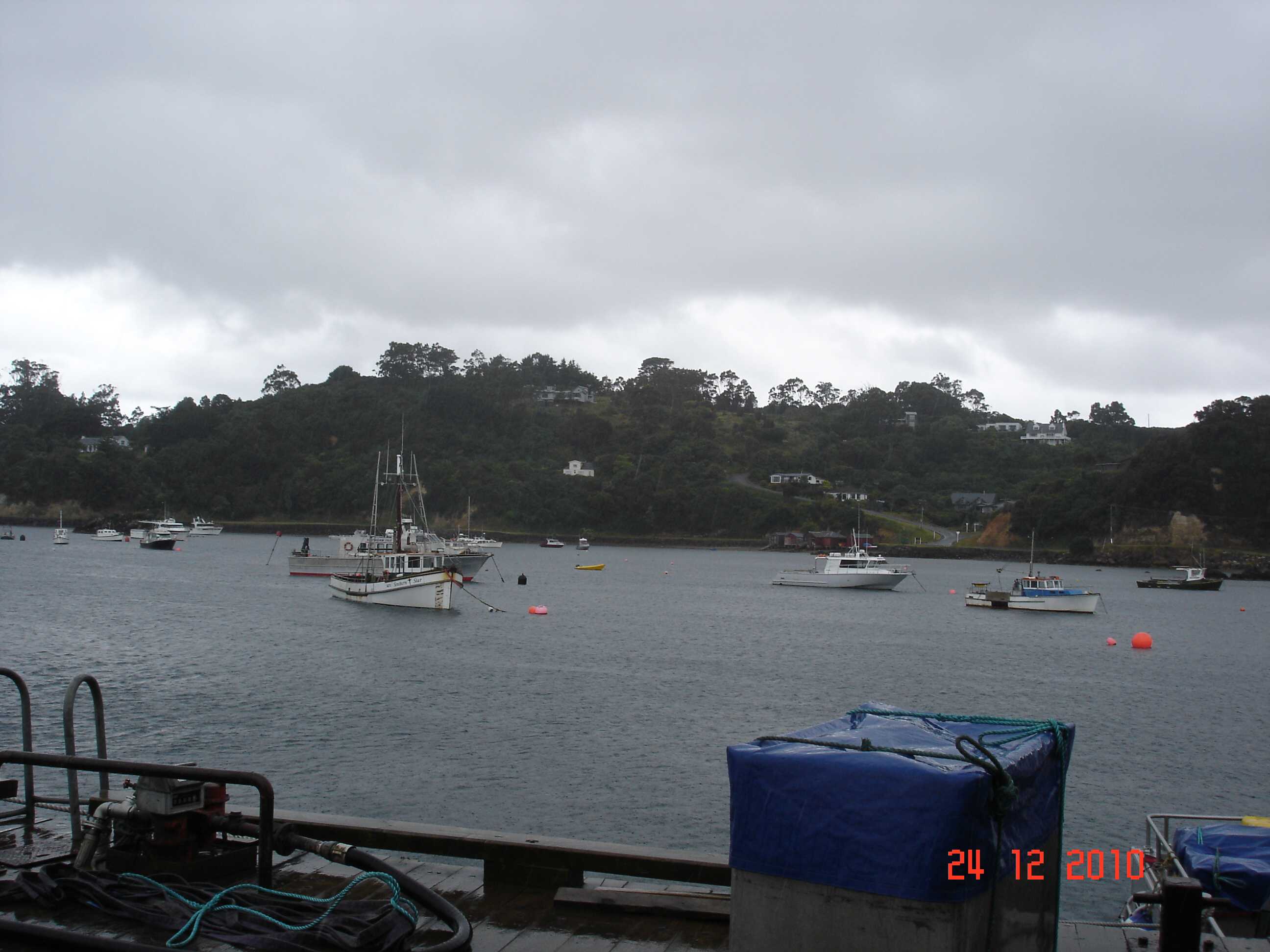 Stewart Island-3