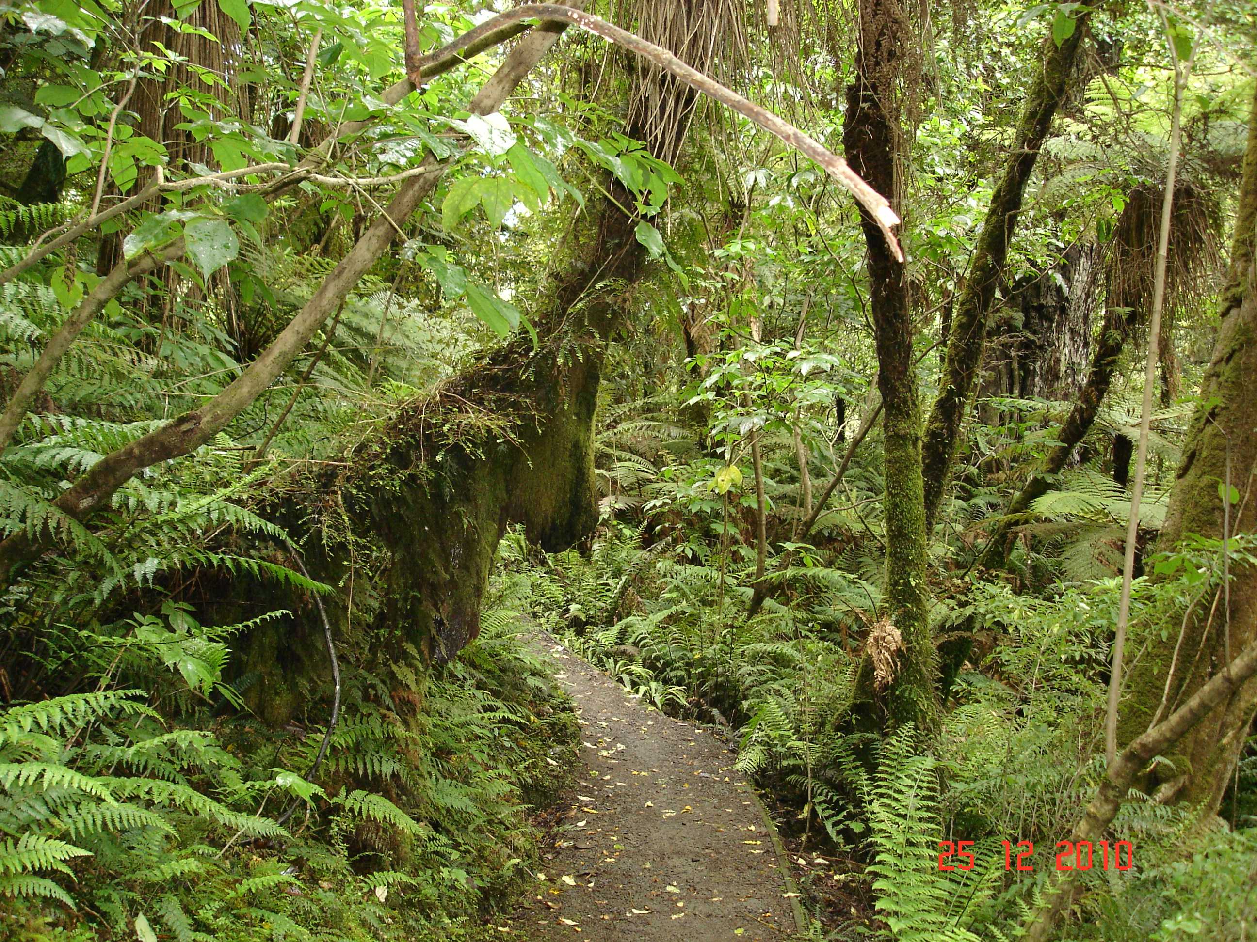 Stewart Island-20