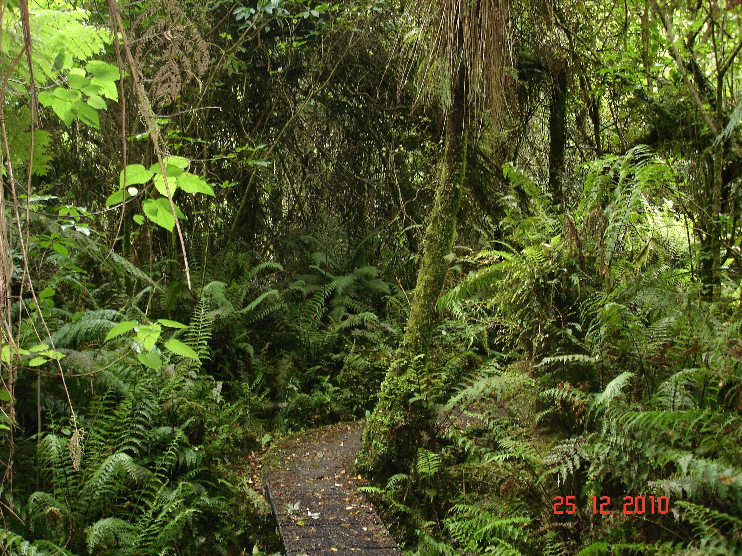 Stewart Island-21