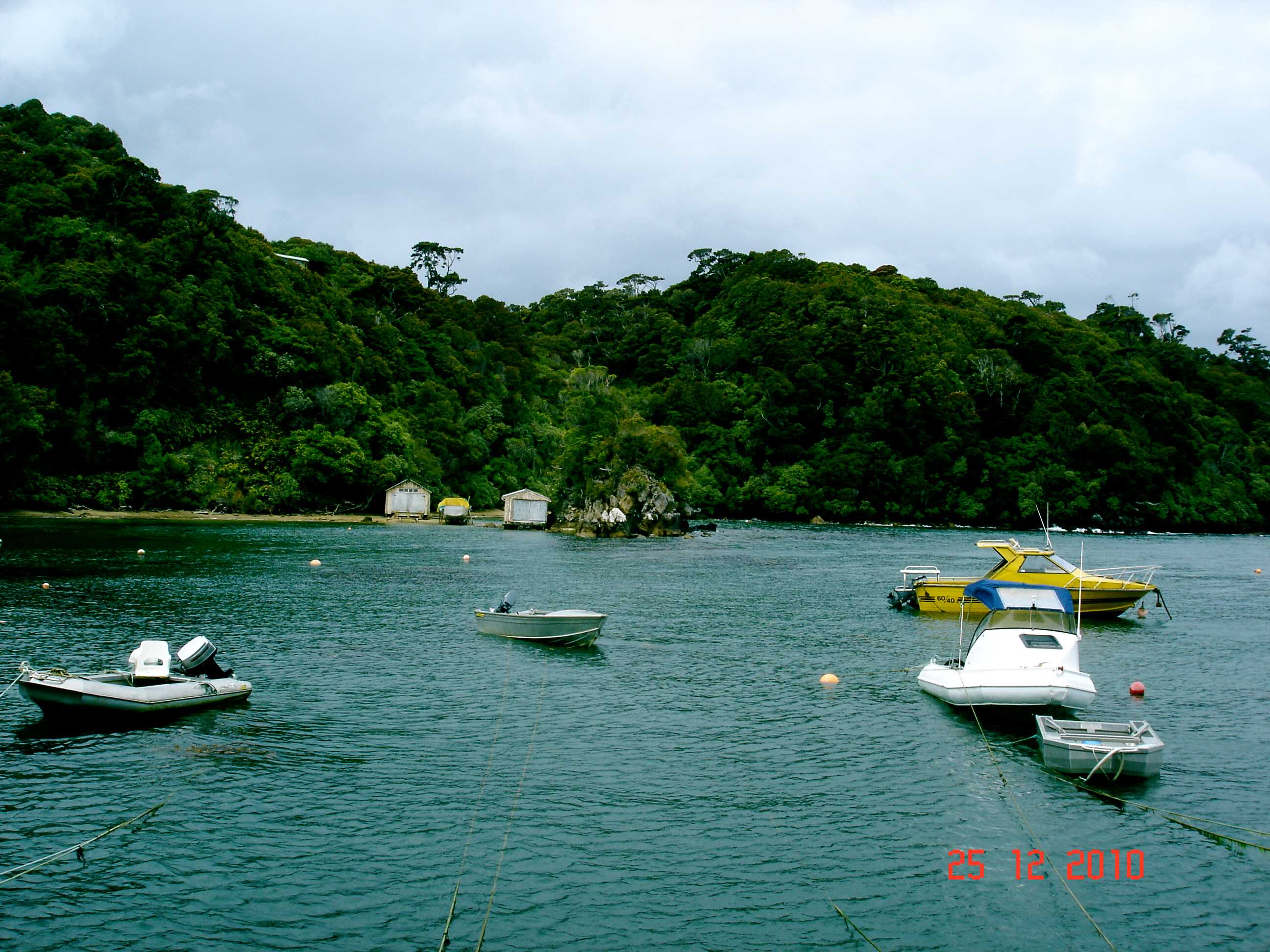 Stewart Island-24