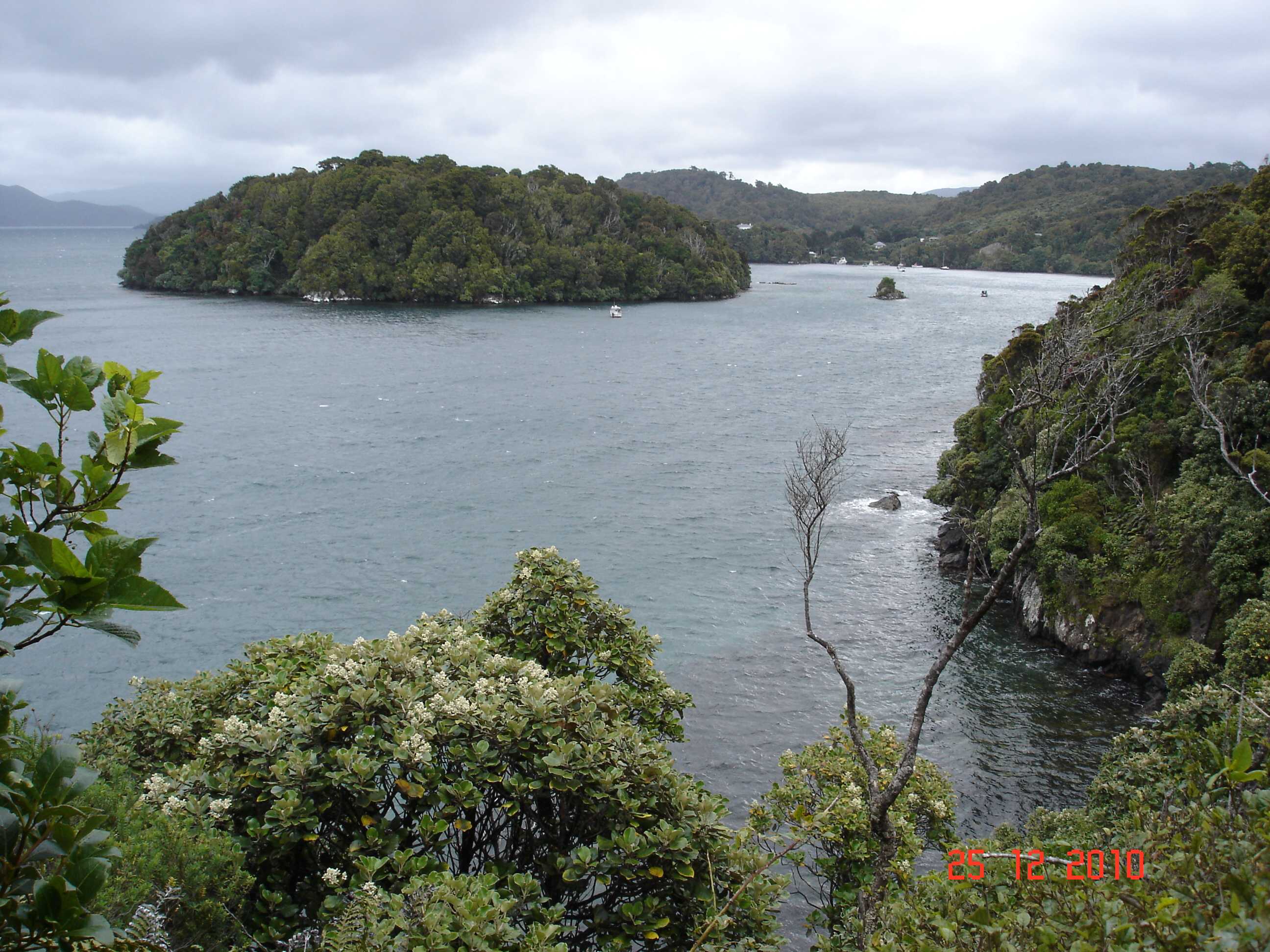 Stewart Island-25