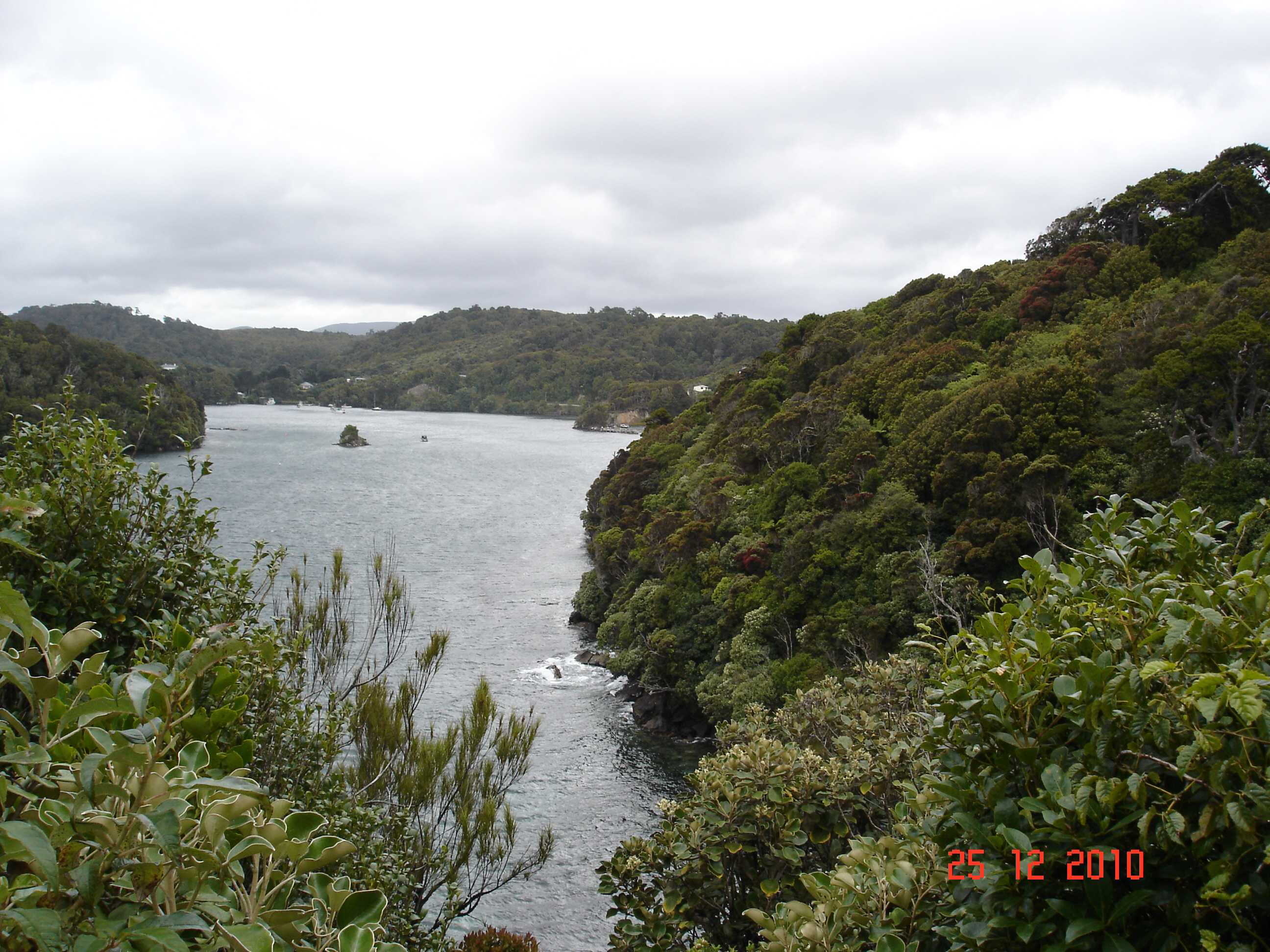 Stewart Island-26