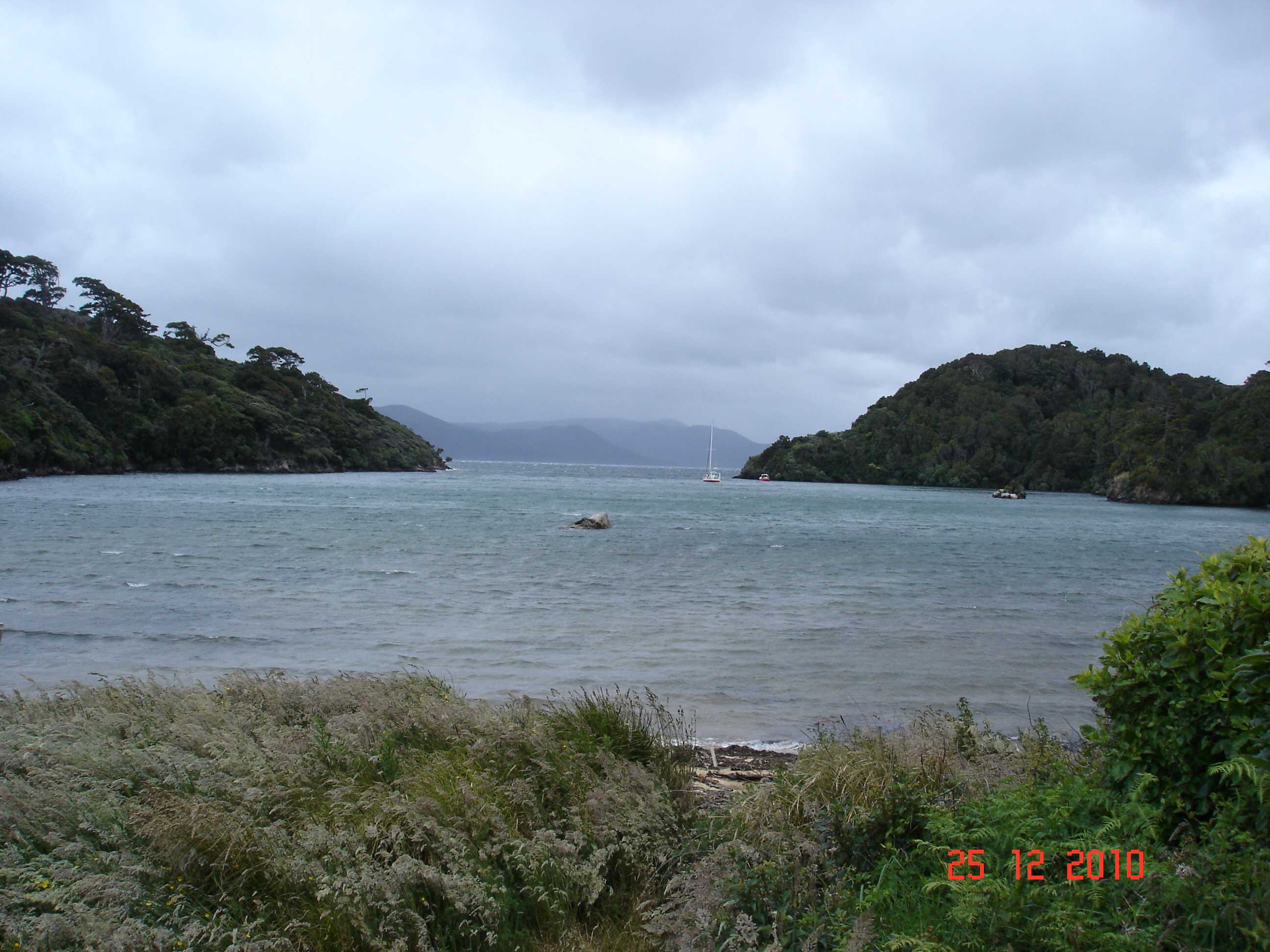 Stewart Island-27