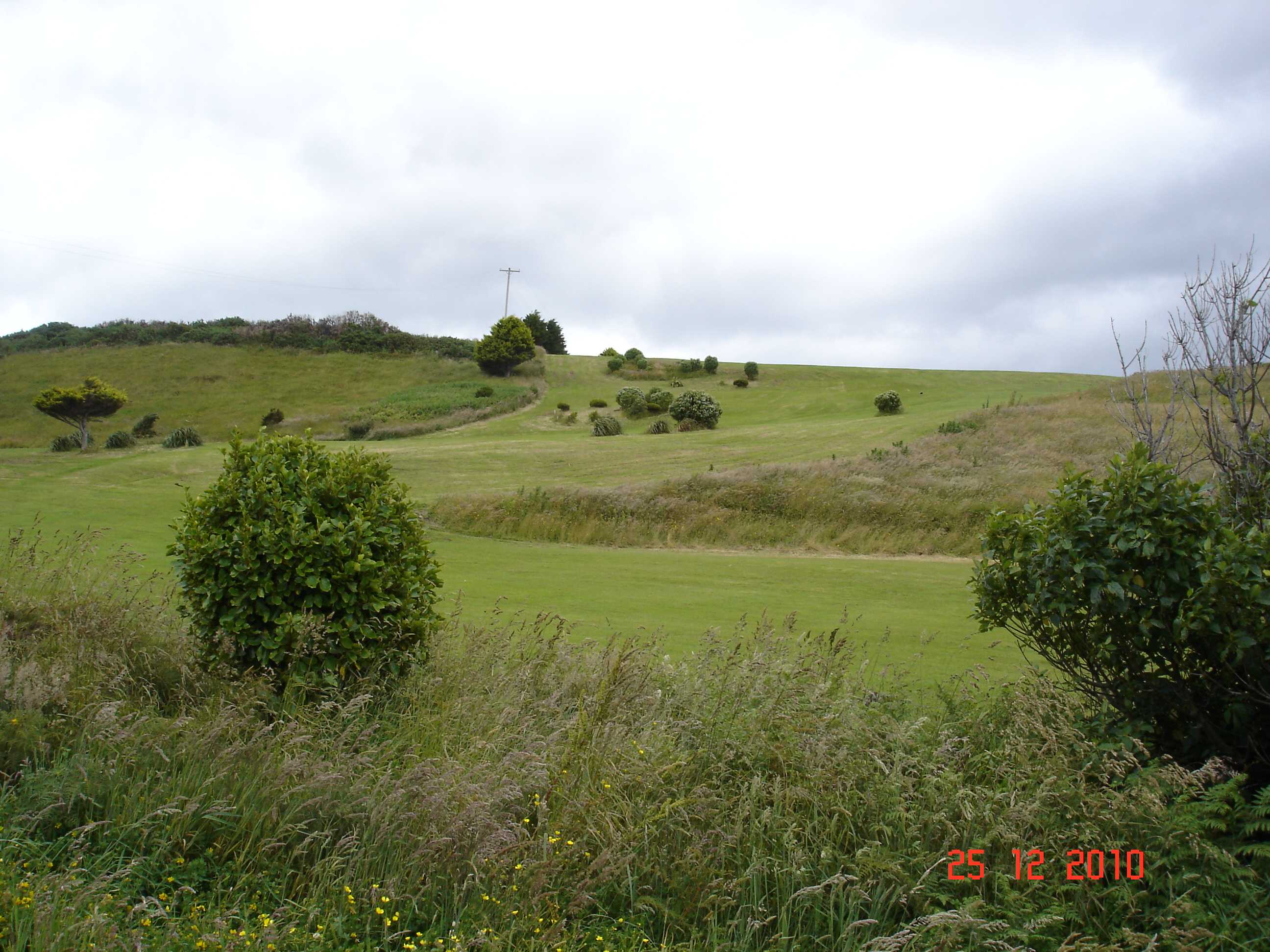 Stewart Island-28