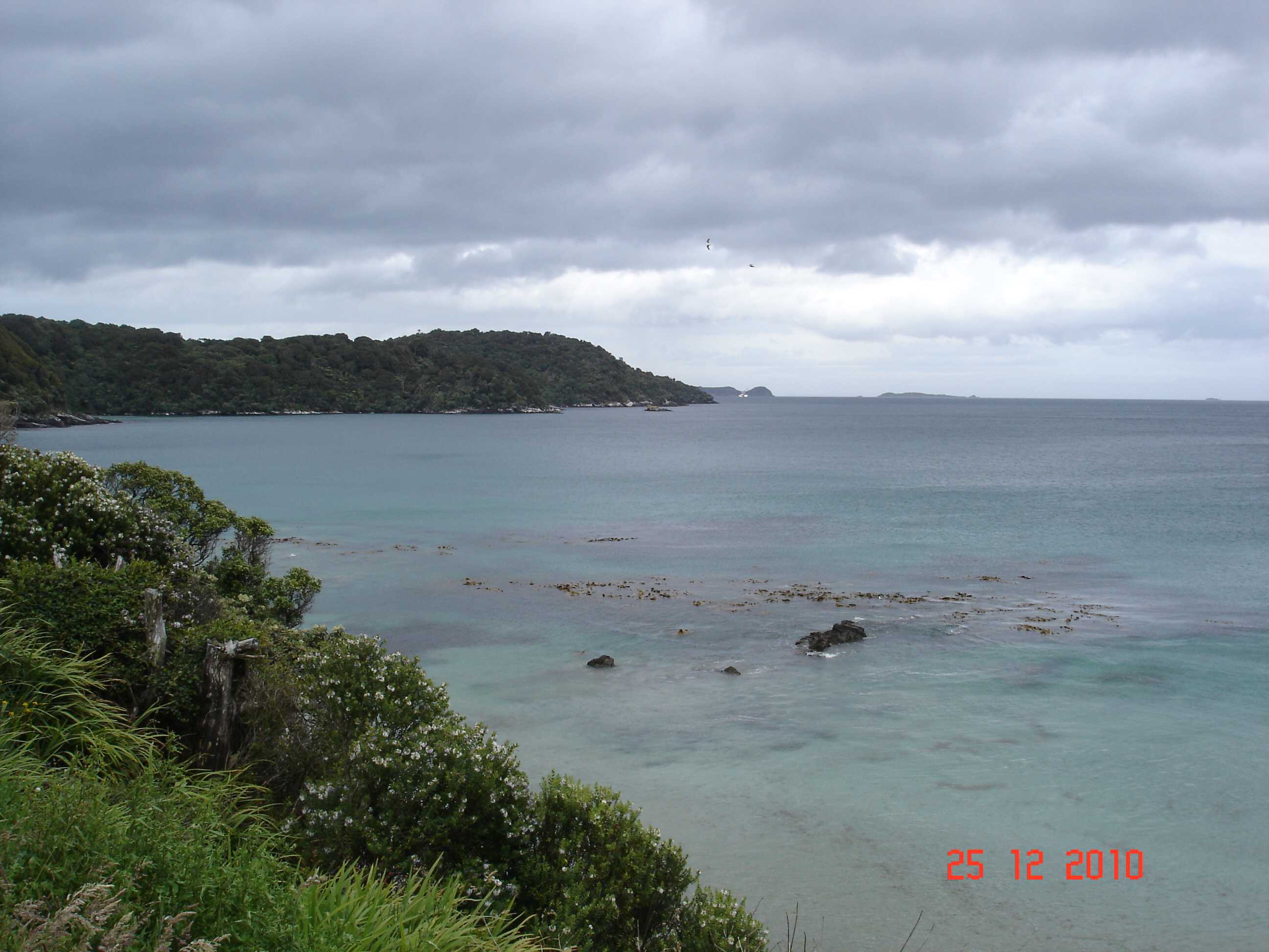 Stewart Island-29