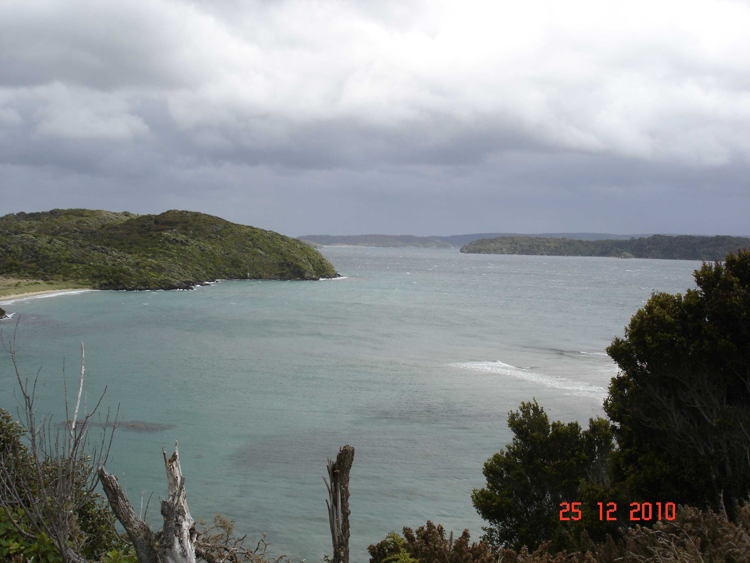 Stewart Island-32