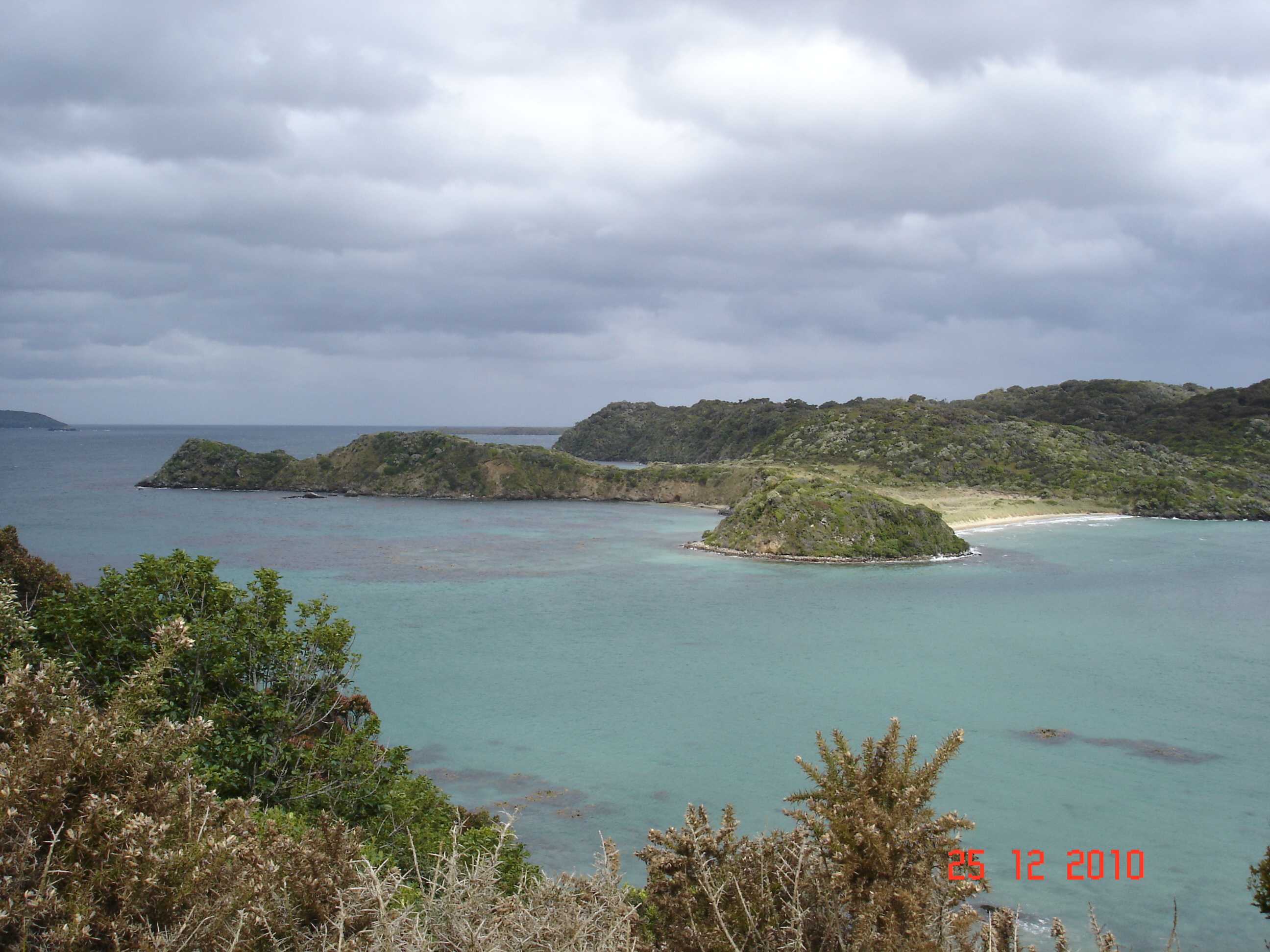 Stewart Island-33