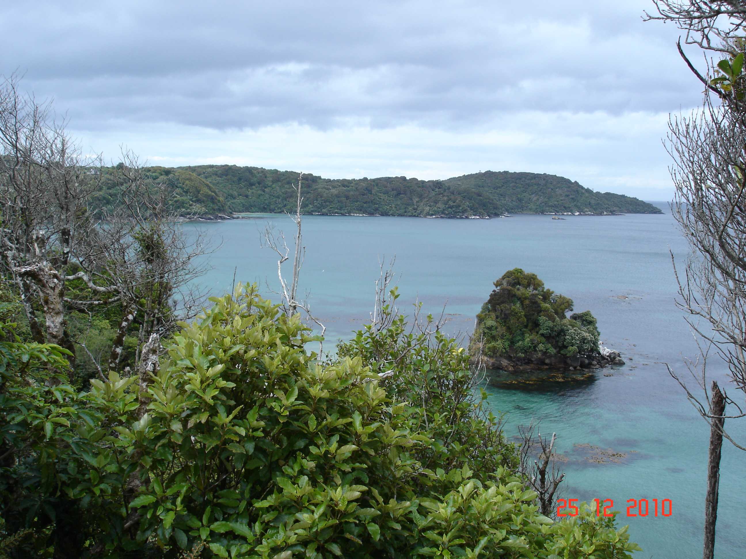 Stewart Island-35