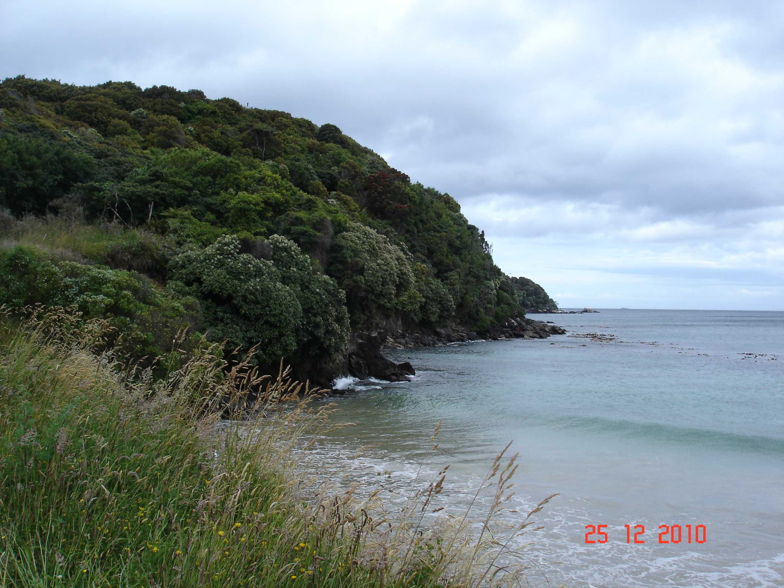 Stewart Island-39