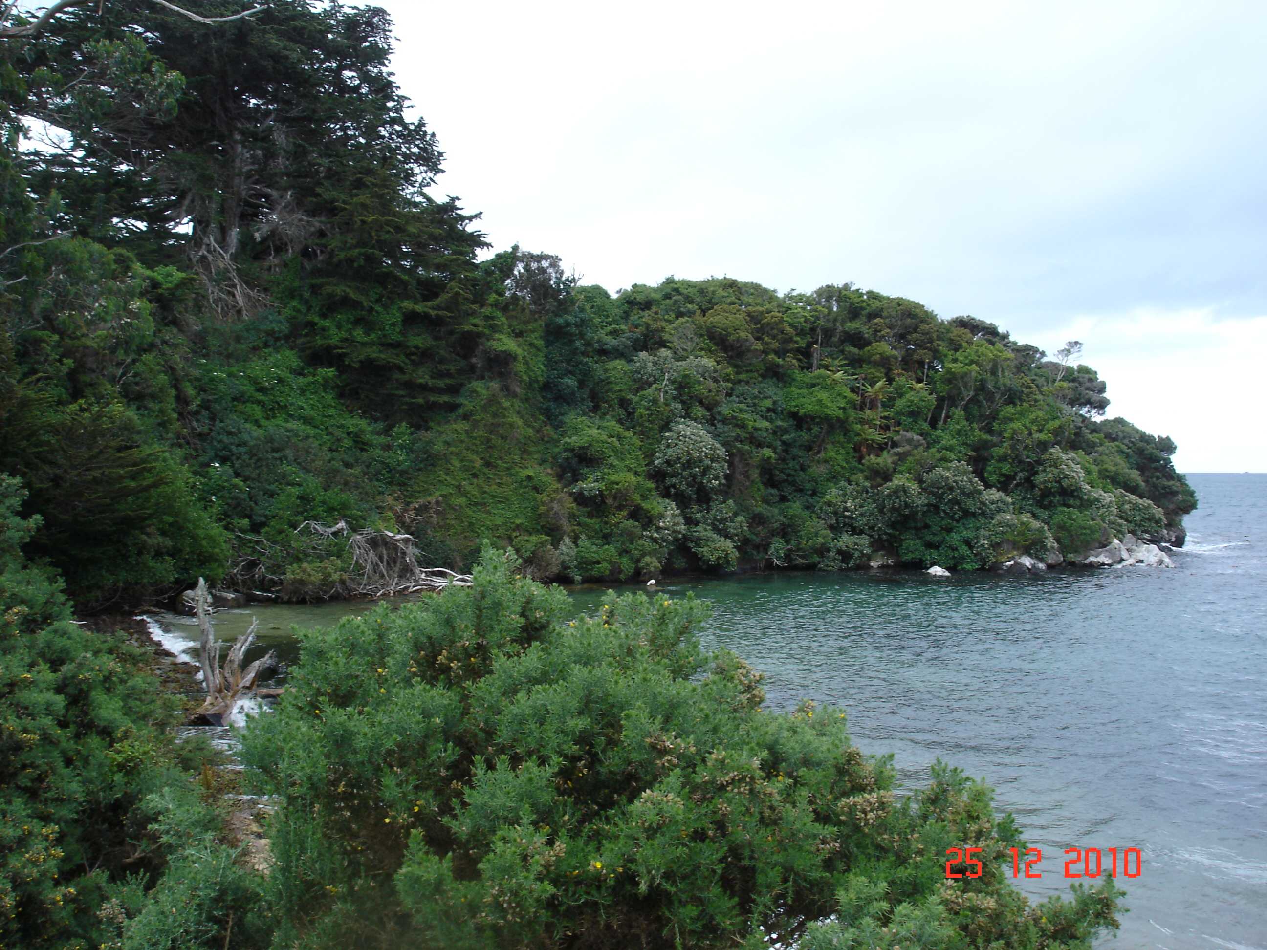 Stewart Island-41