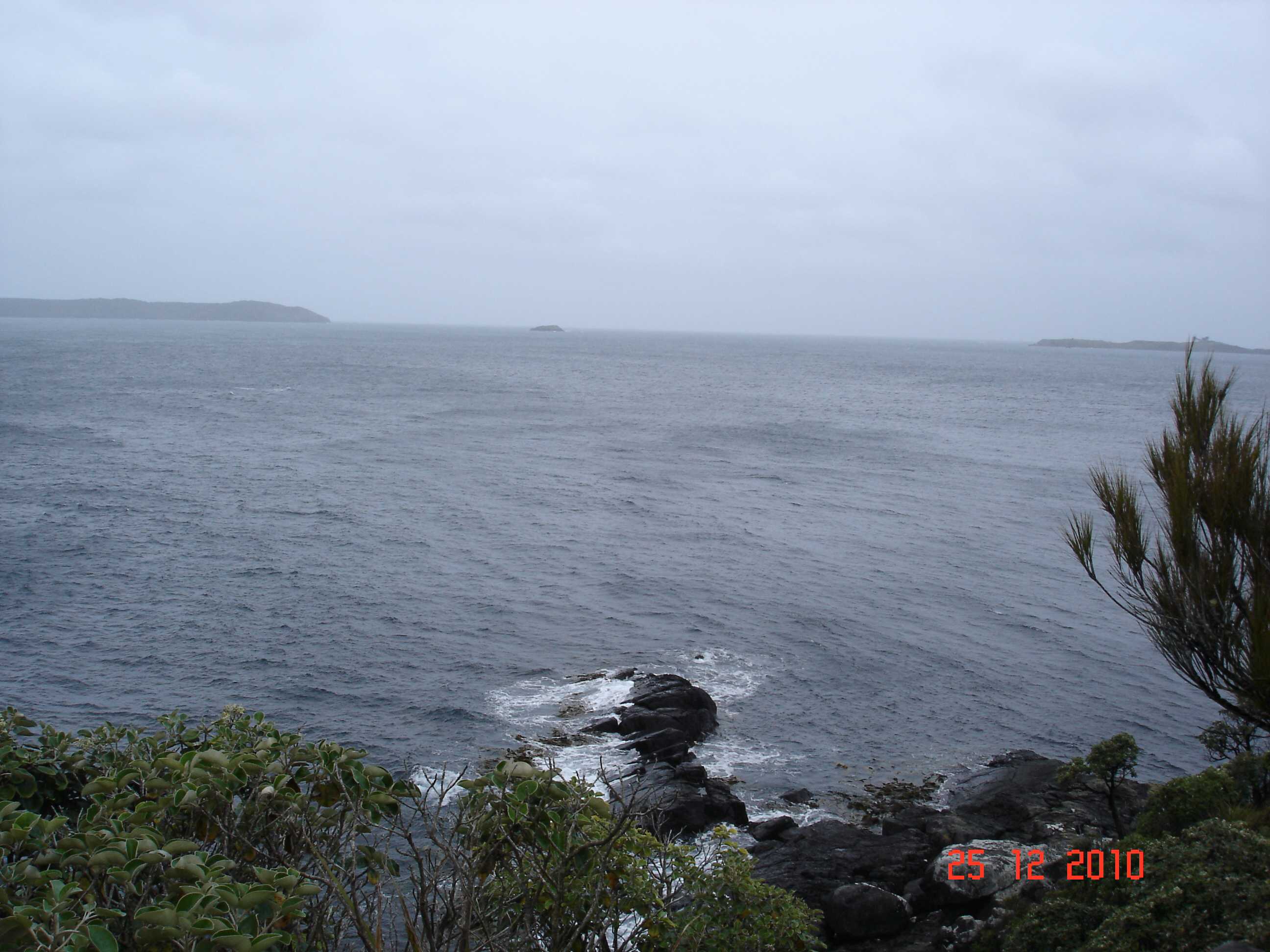 Stewart Island-46