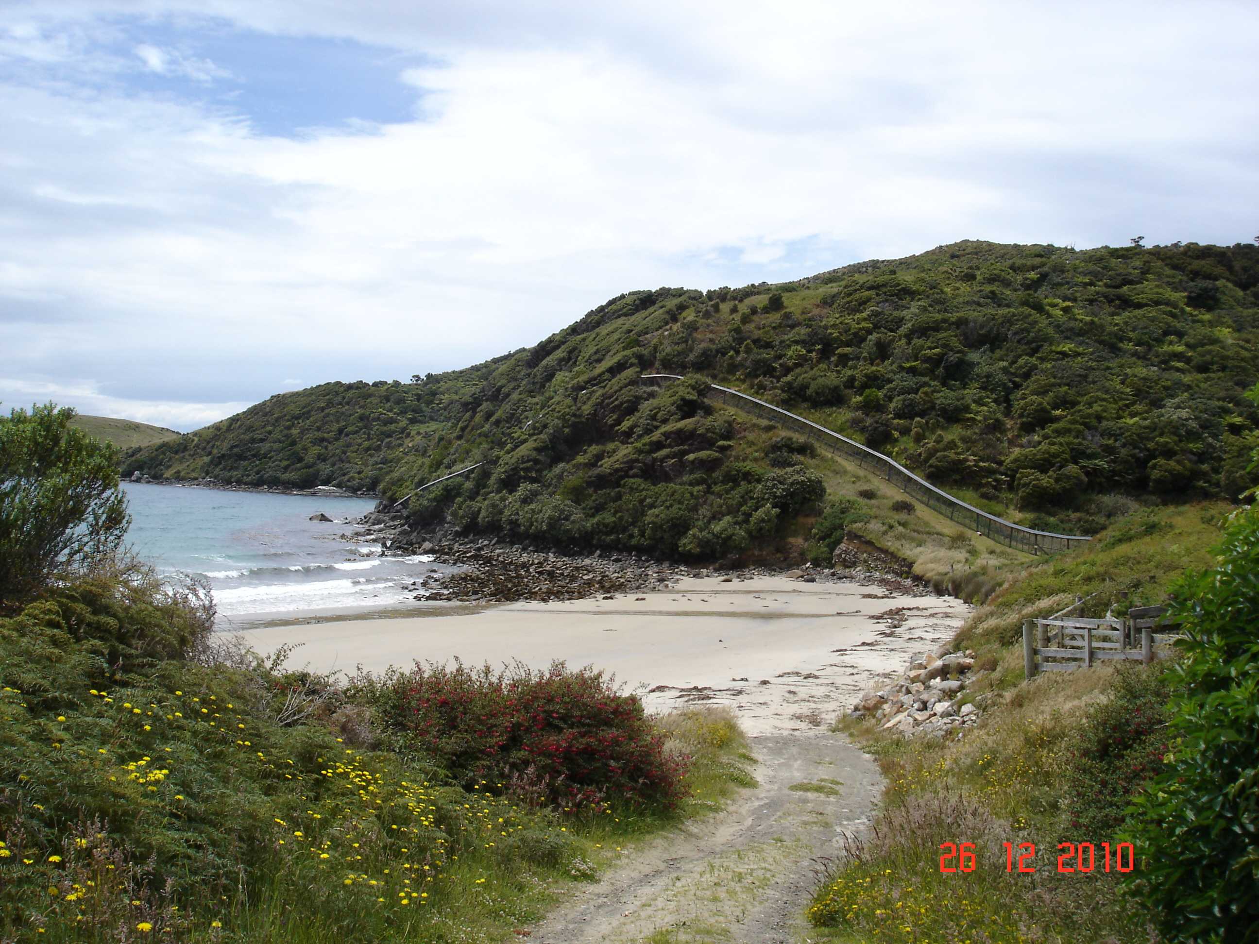 Stewart Island-50