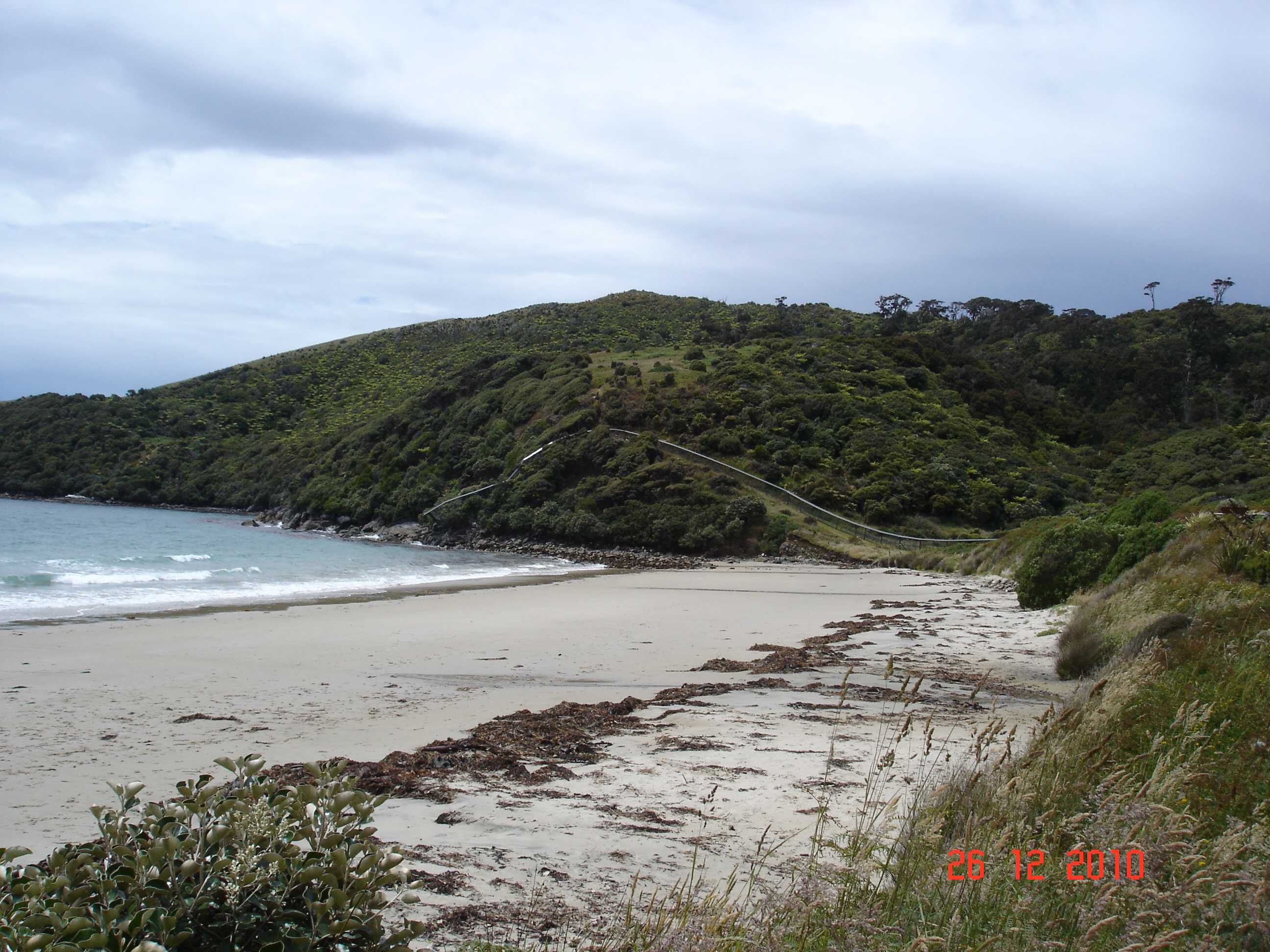 Stewart Island-55