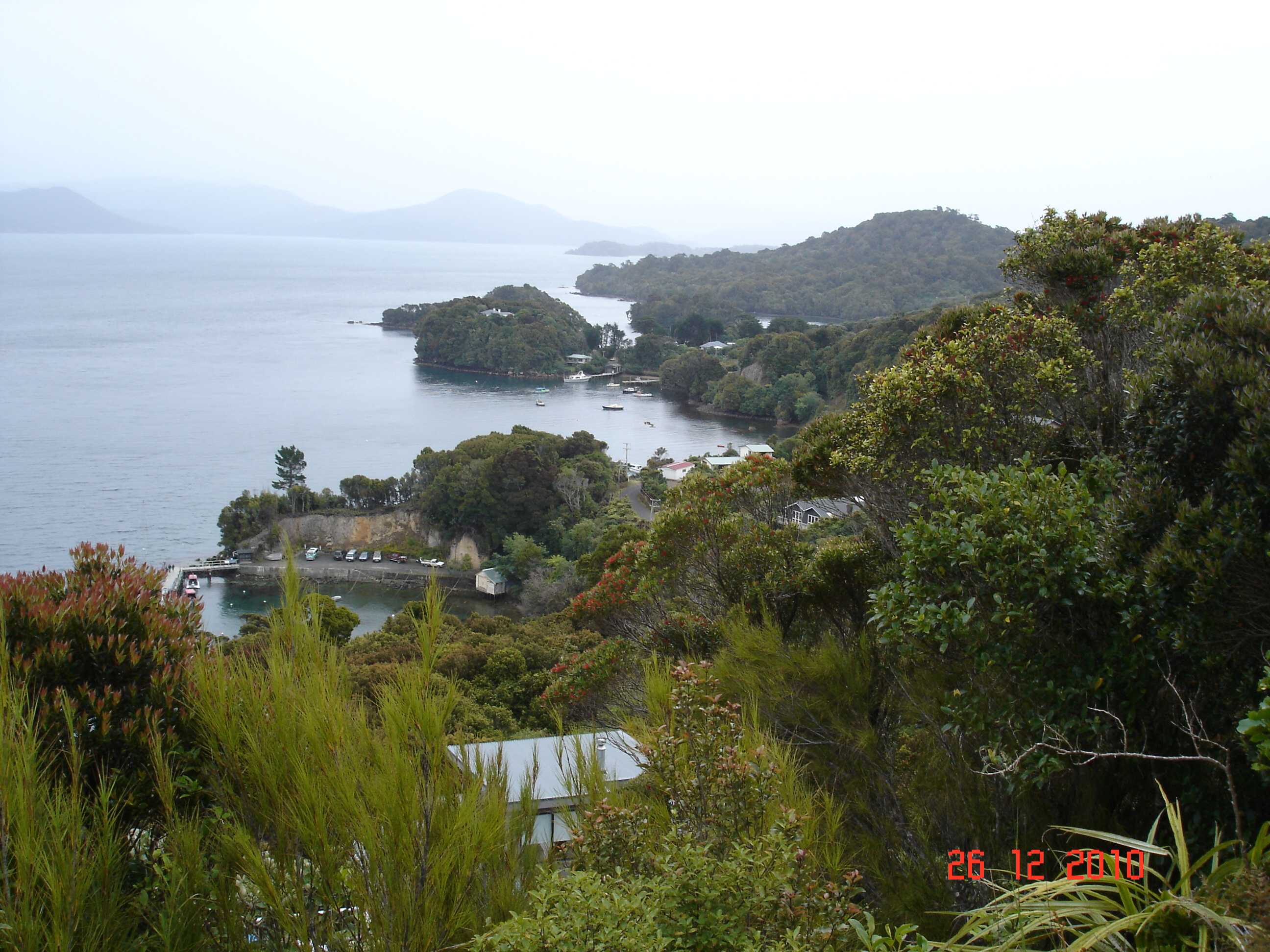 Stewart Island-57