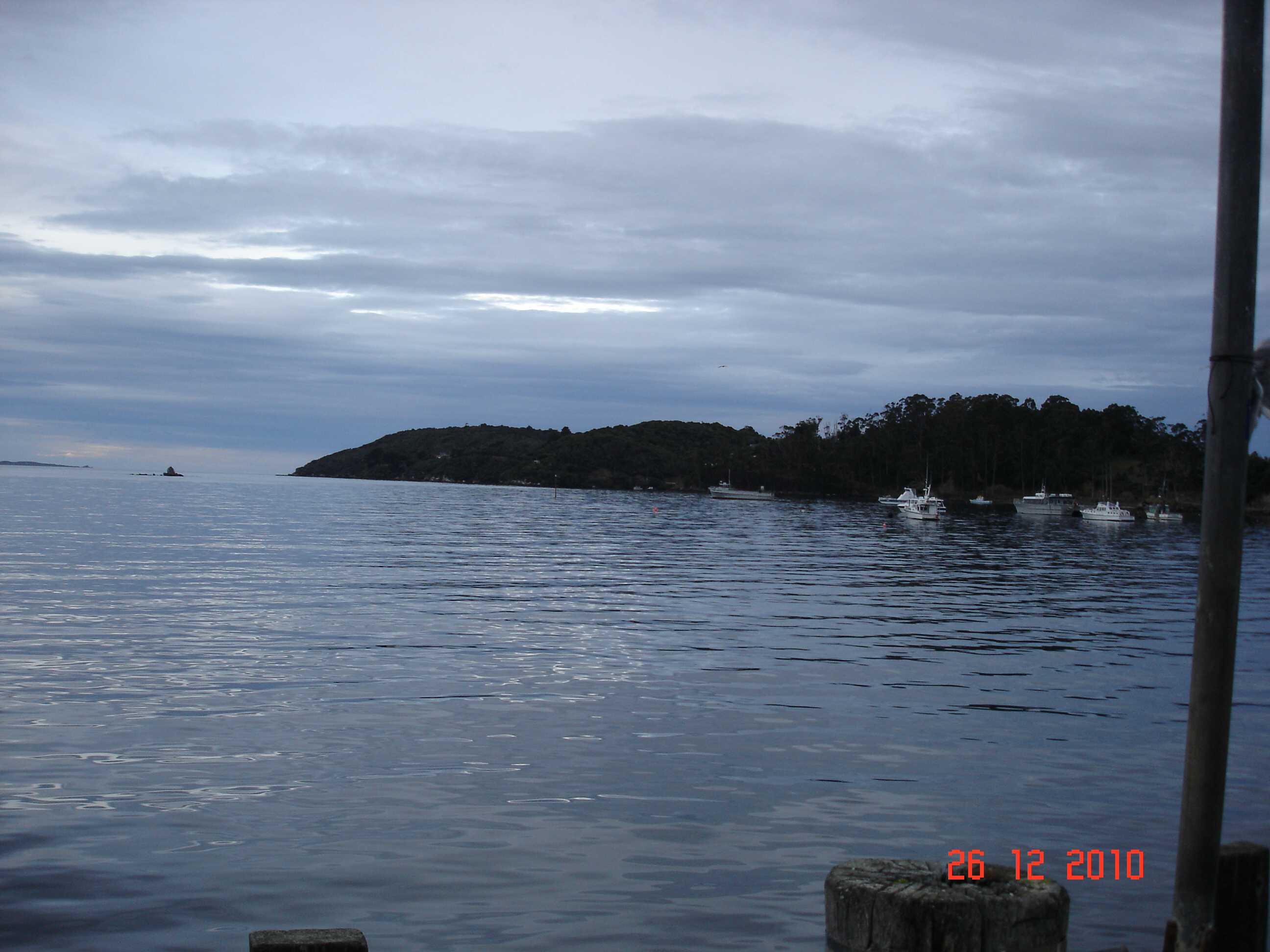 Stewart Island-62