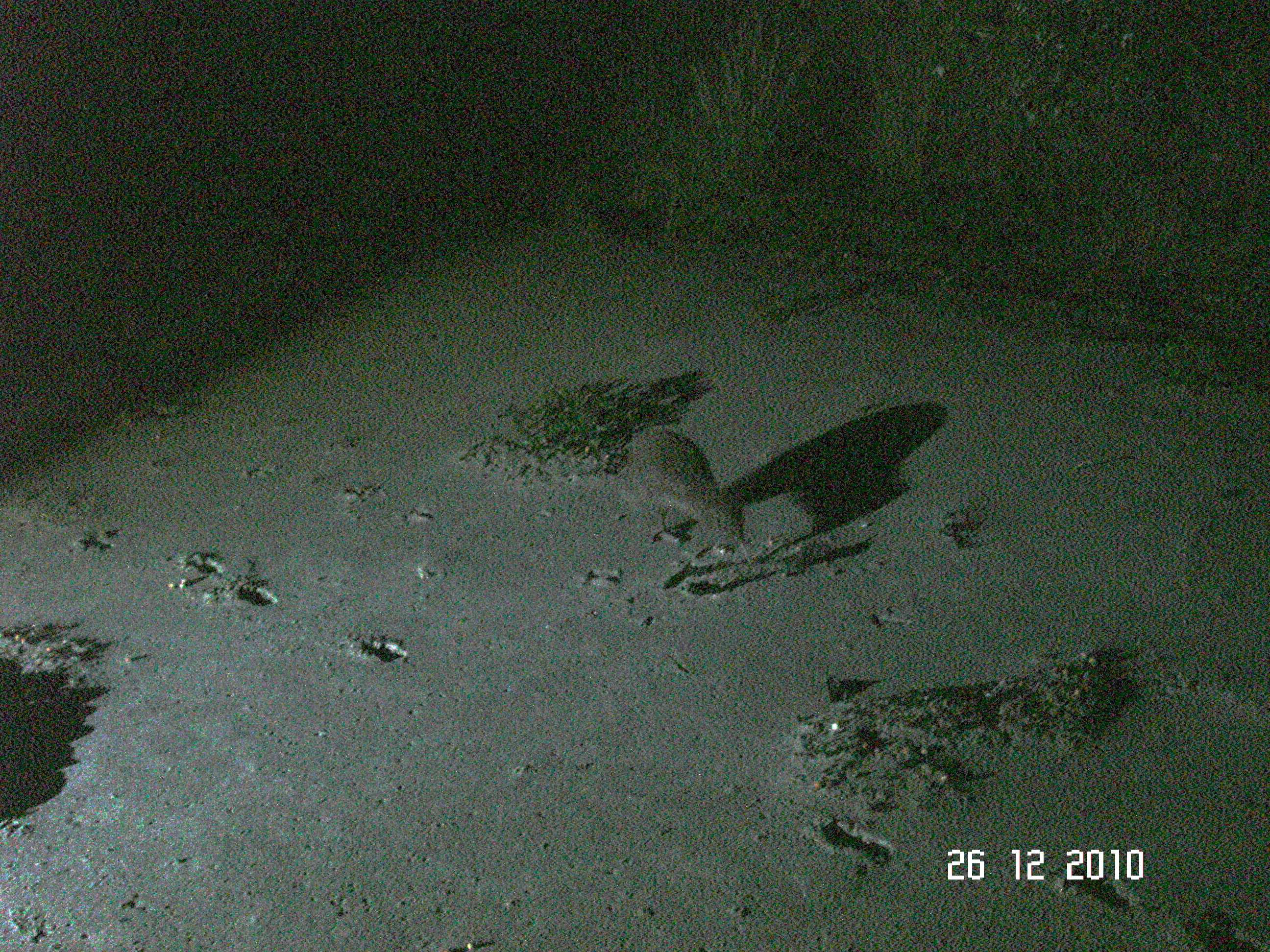 Stewart Island-73
