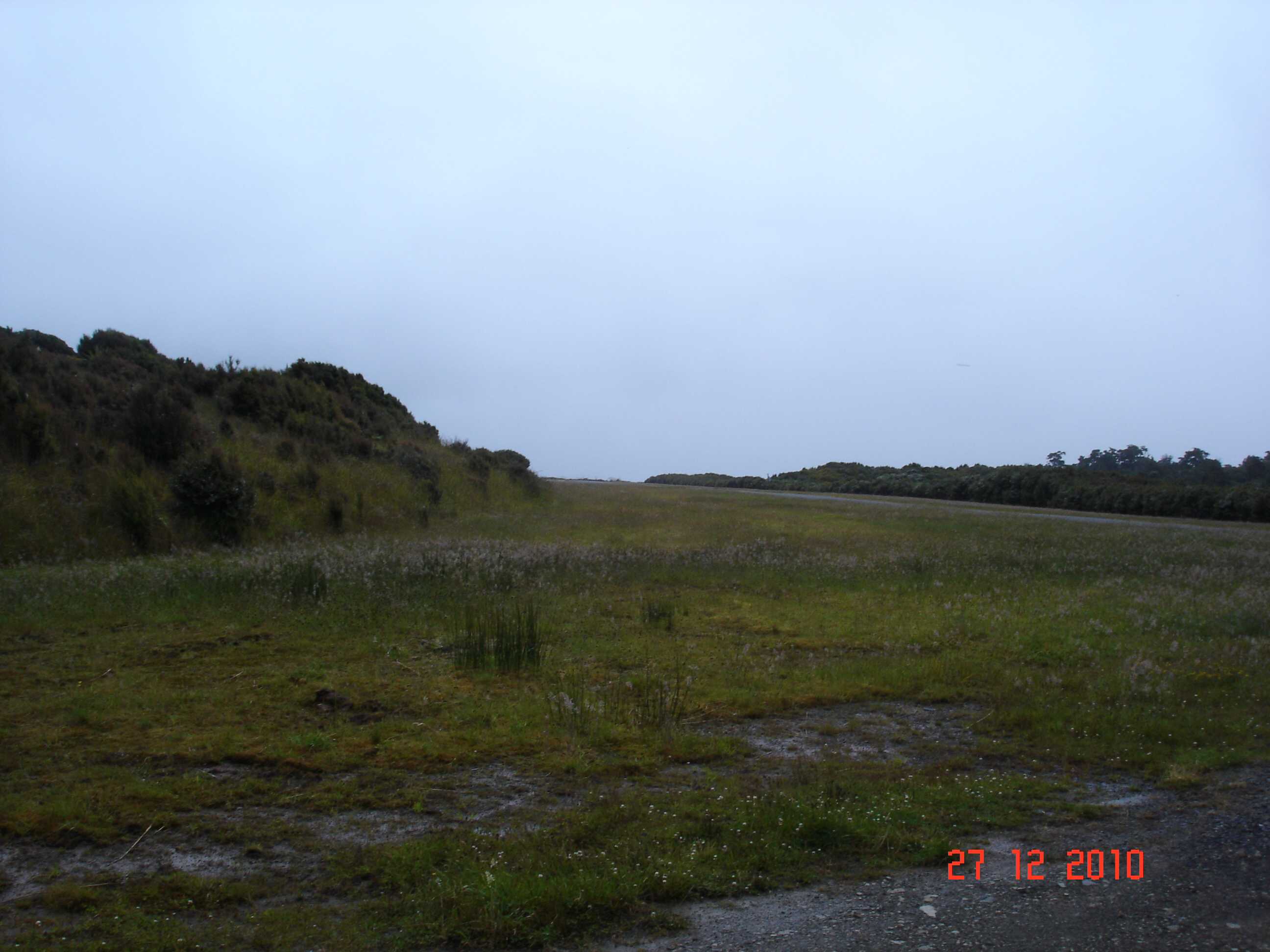 Stewart Island-81