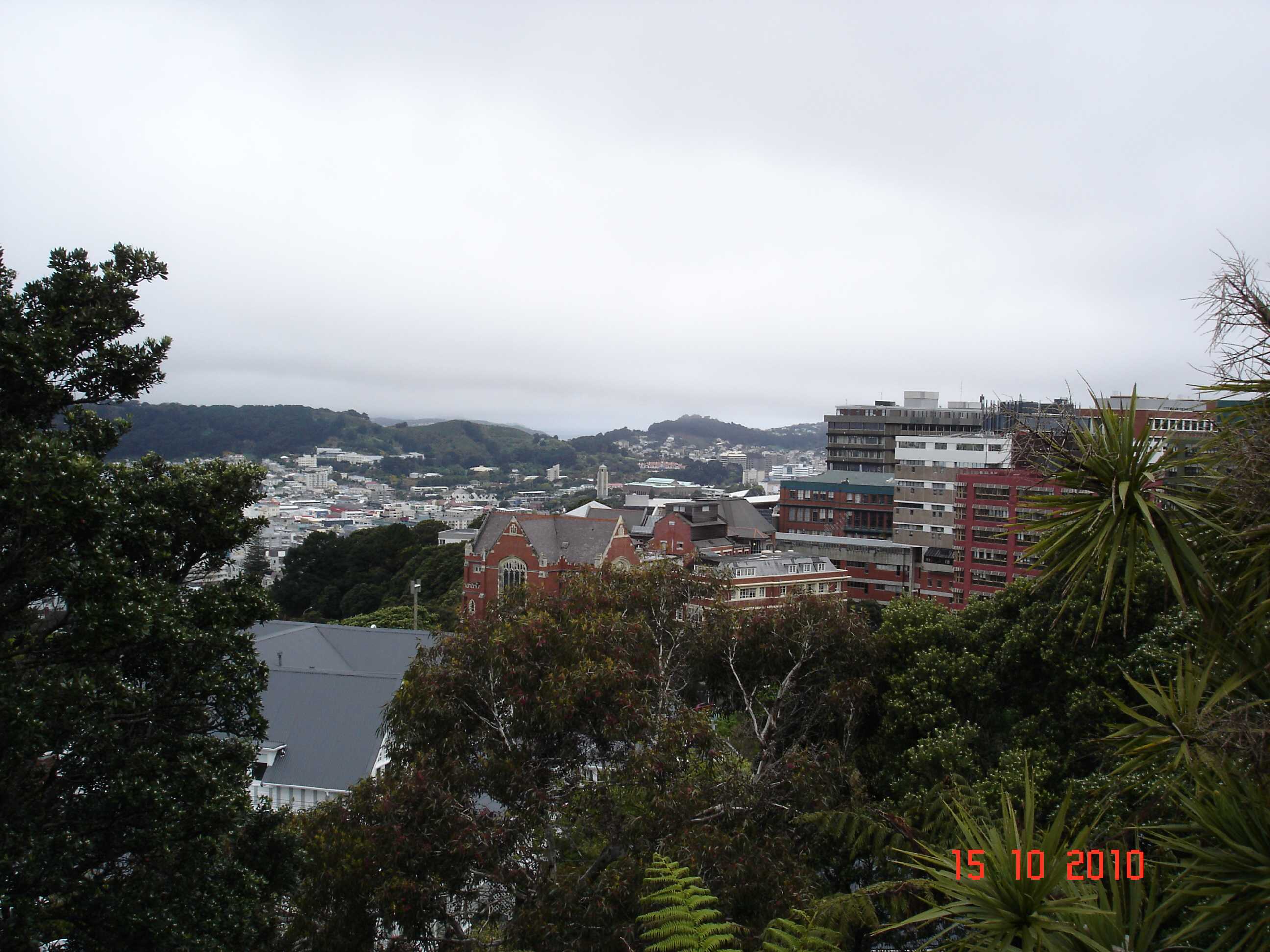 Wellington-13