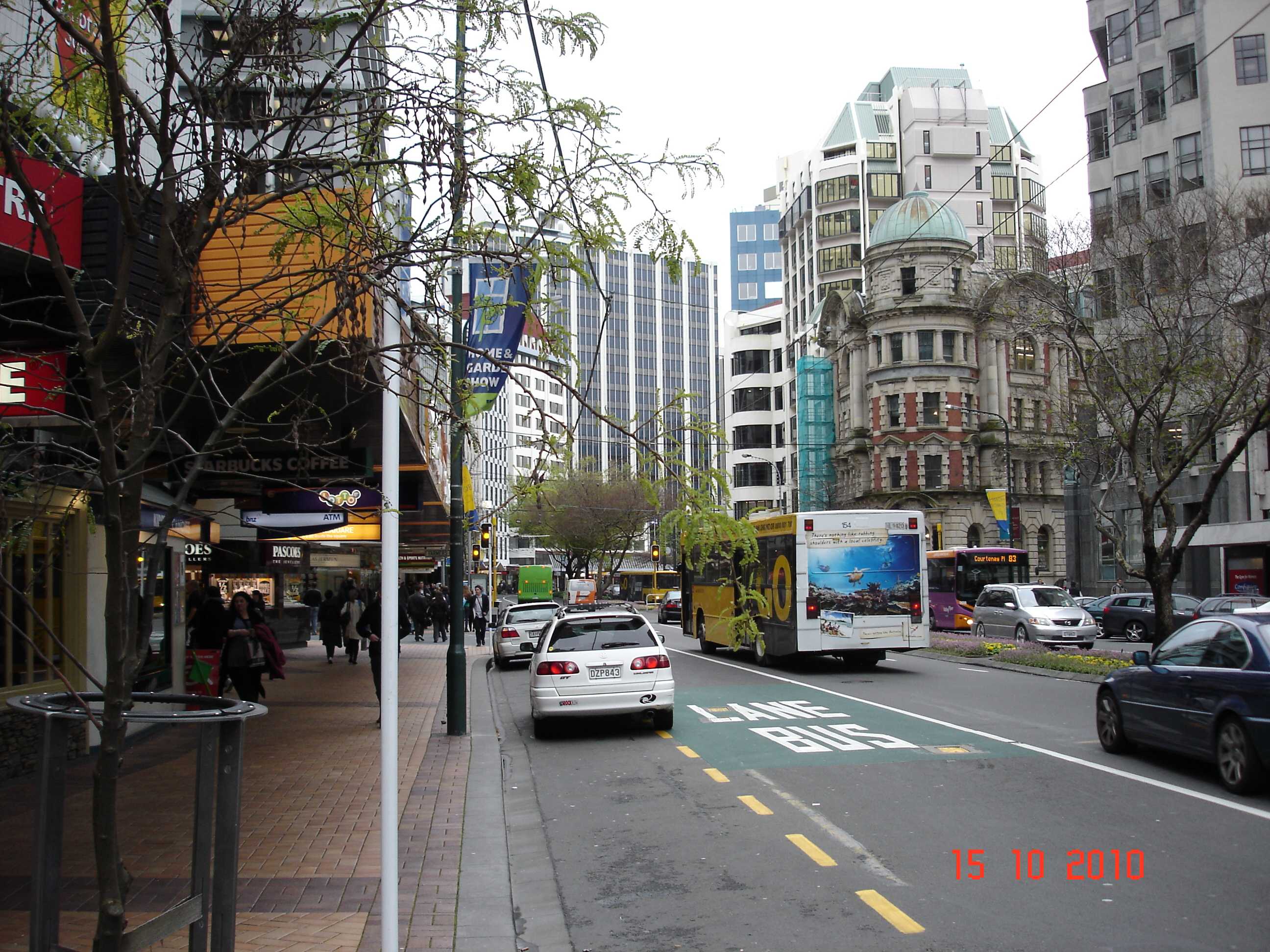 Wellington-15