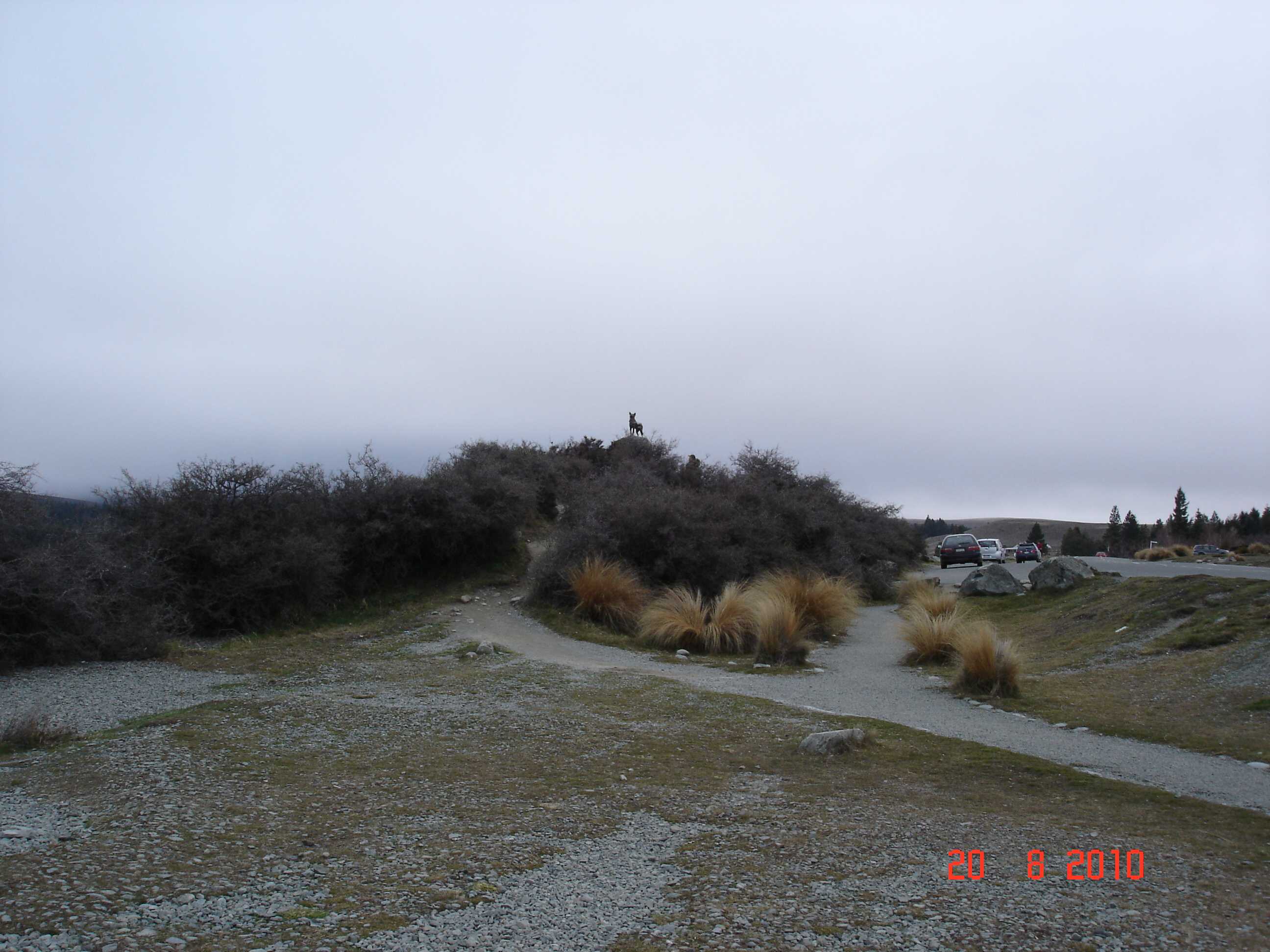 Lake Tekapo-2