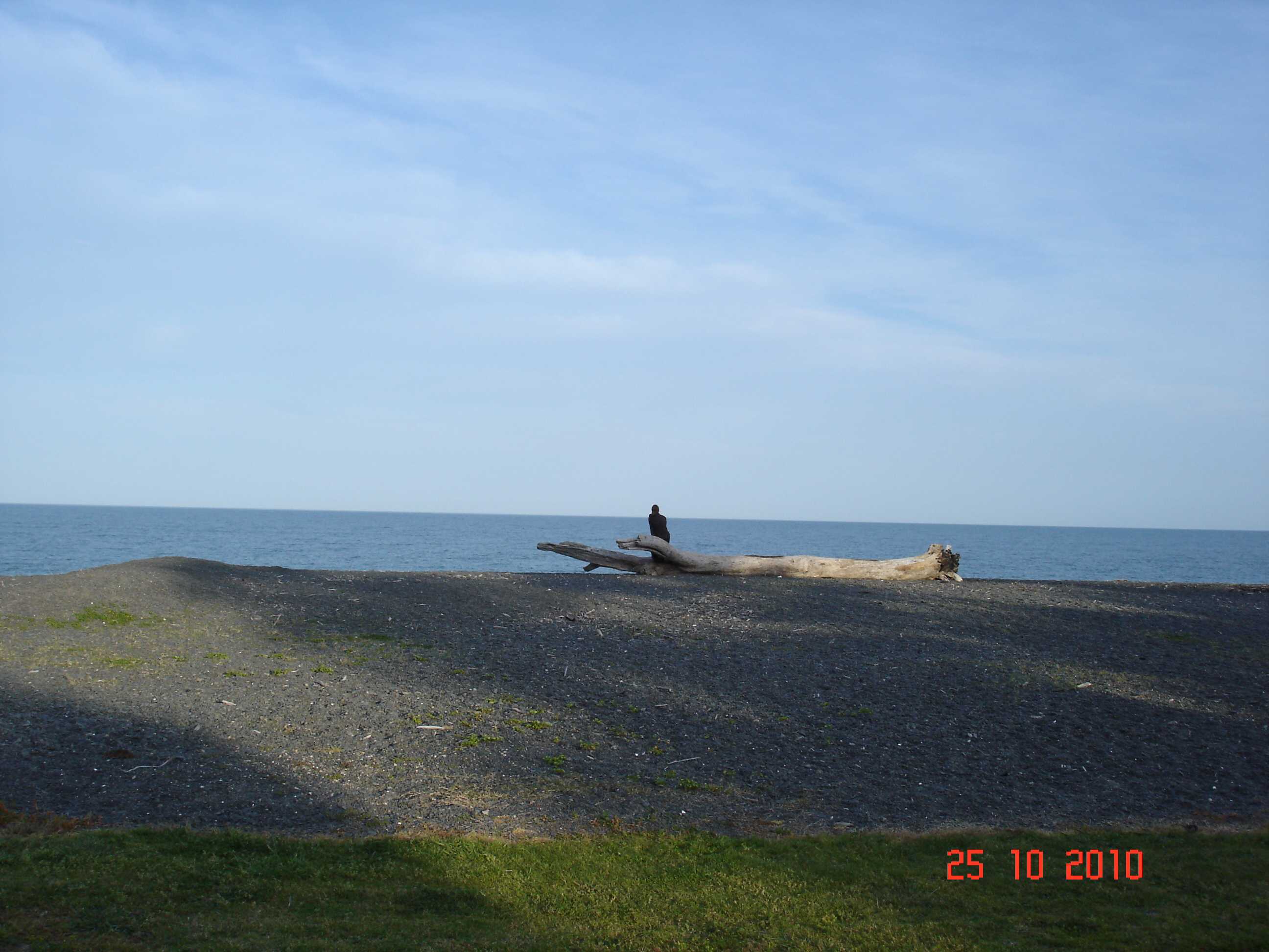 Beach in Napier-3