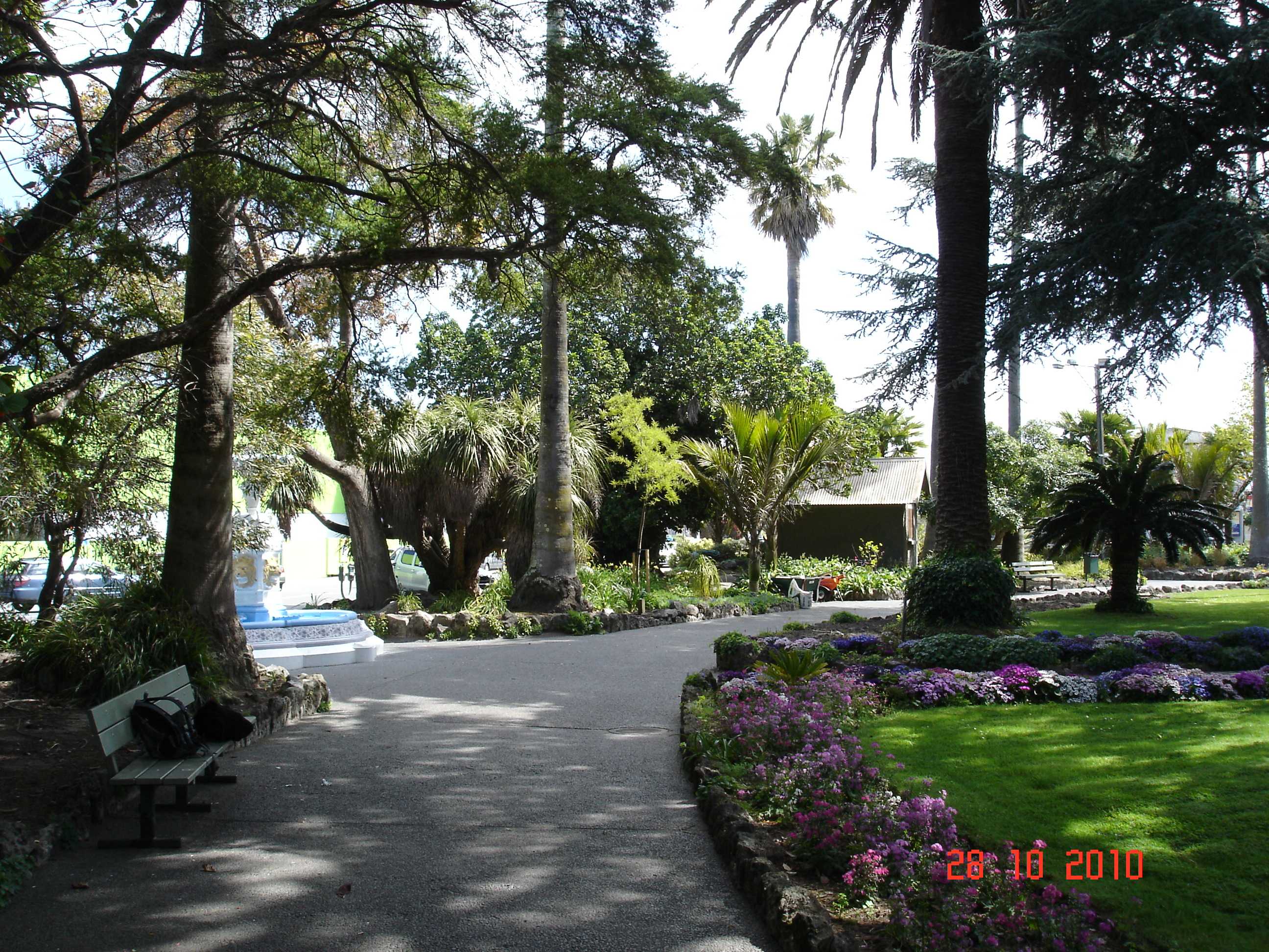 Park in Napier-1