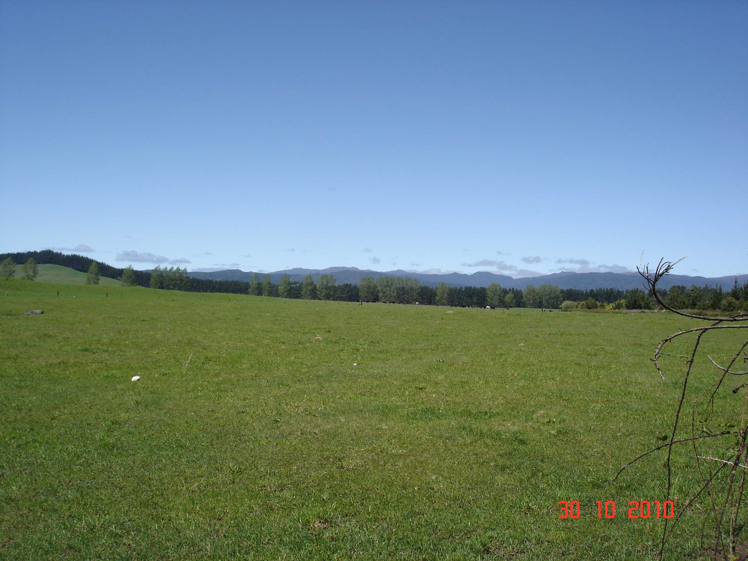 Trip around Turangi-4