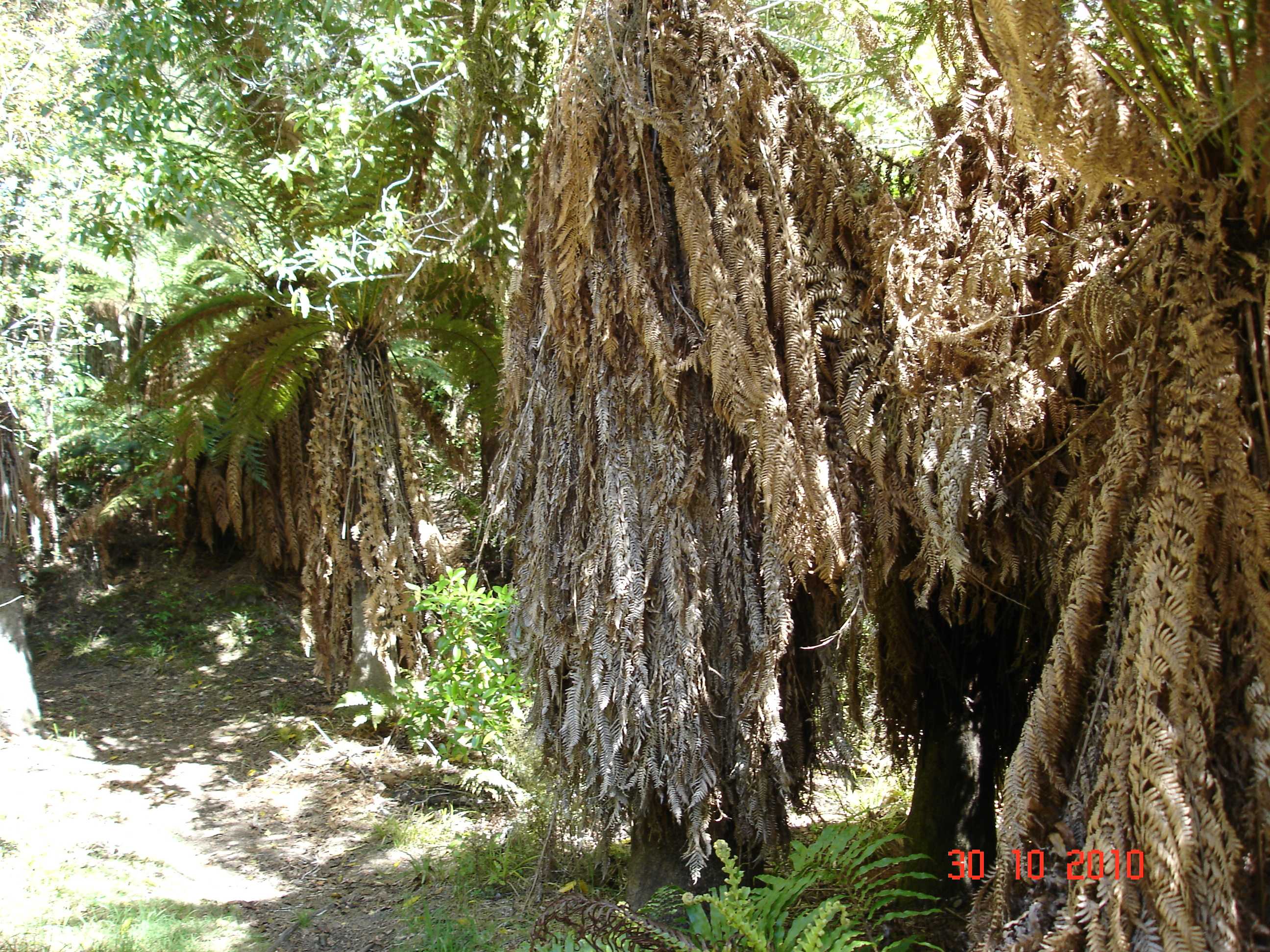 Trip around Turangi-9