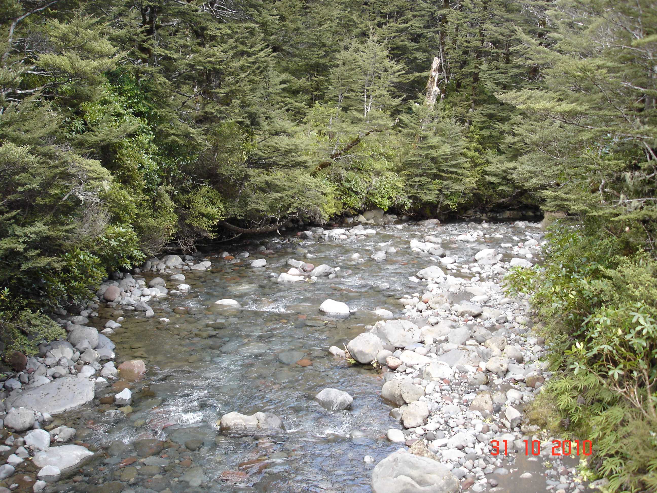 Trip to Lower Tama Lake close to Turangi-4