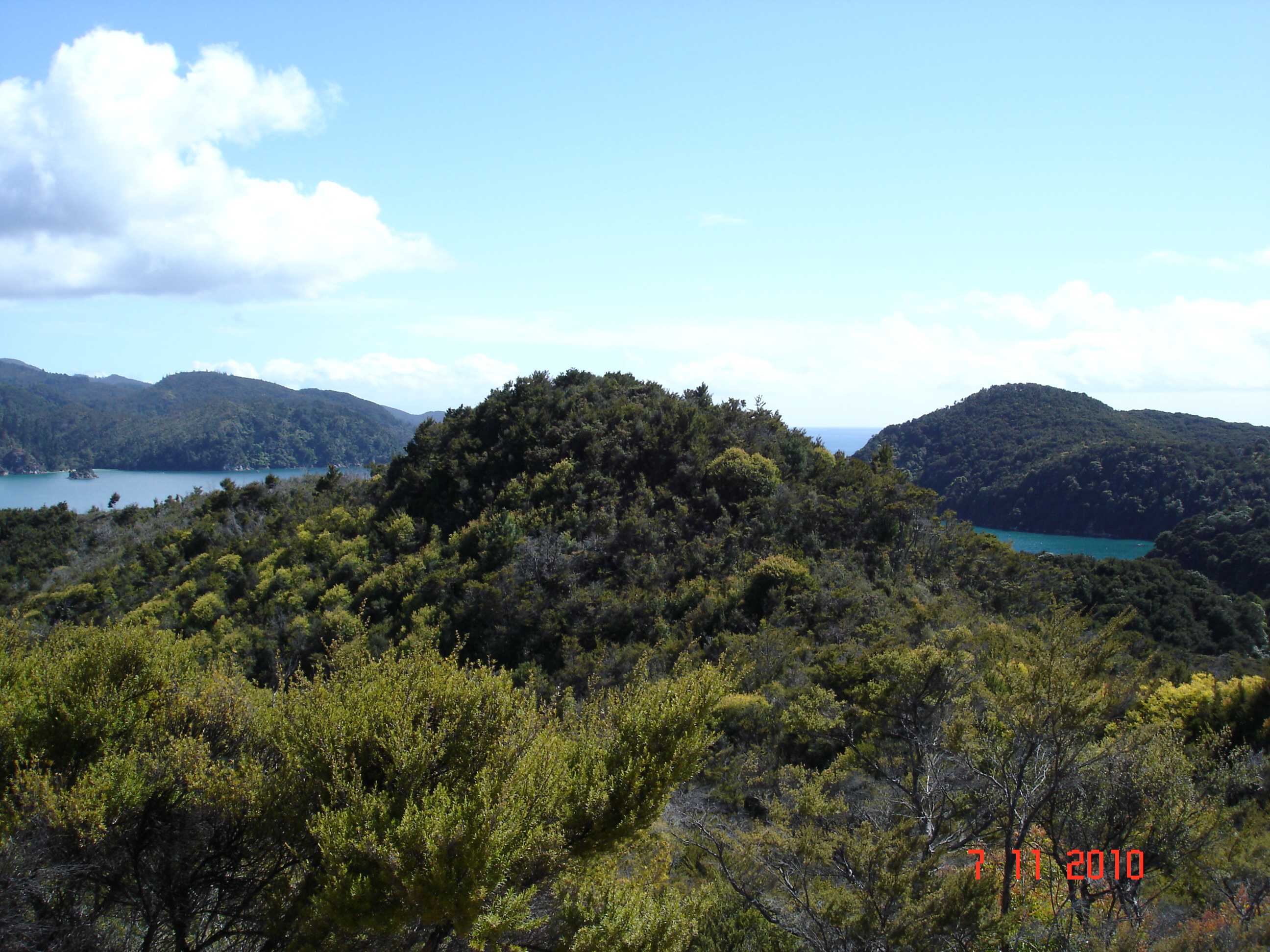 Abel Tasman National Park-3