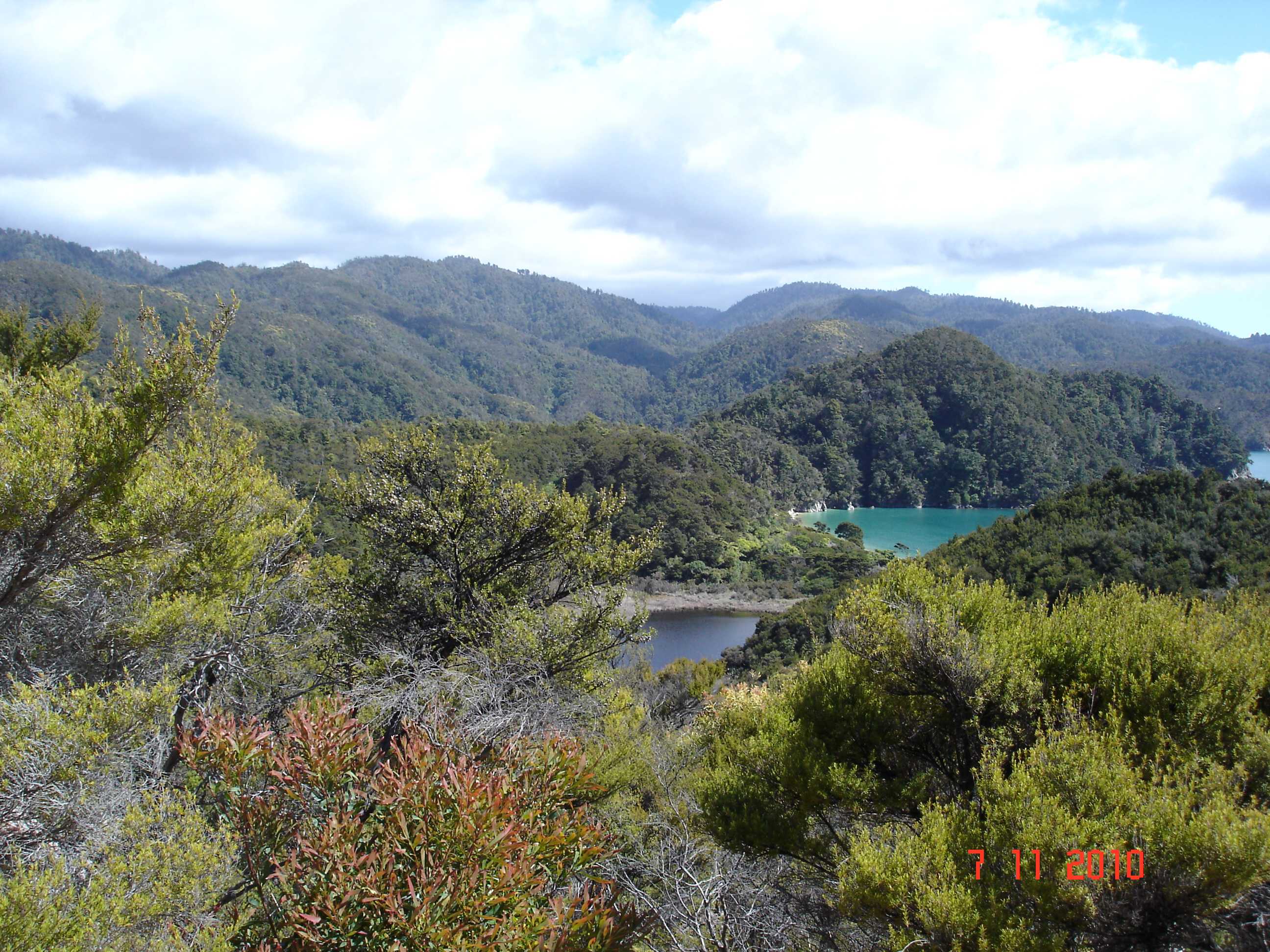Abel Tasman National Park-4