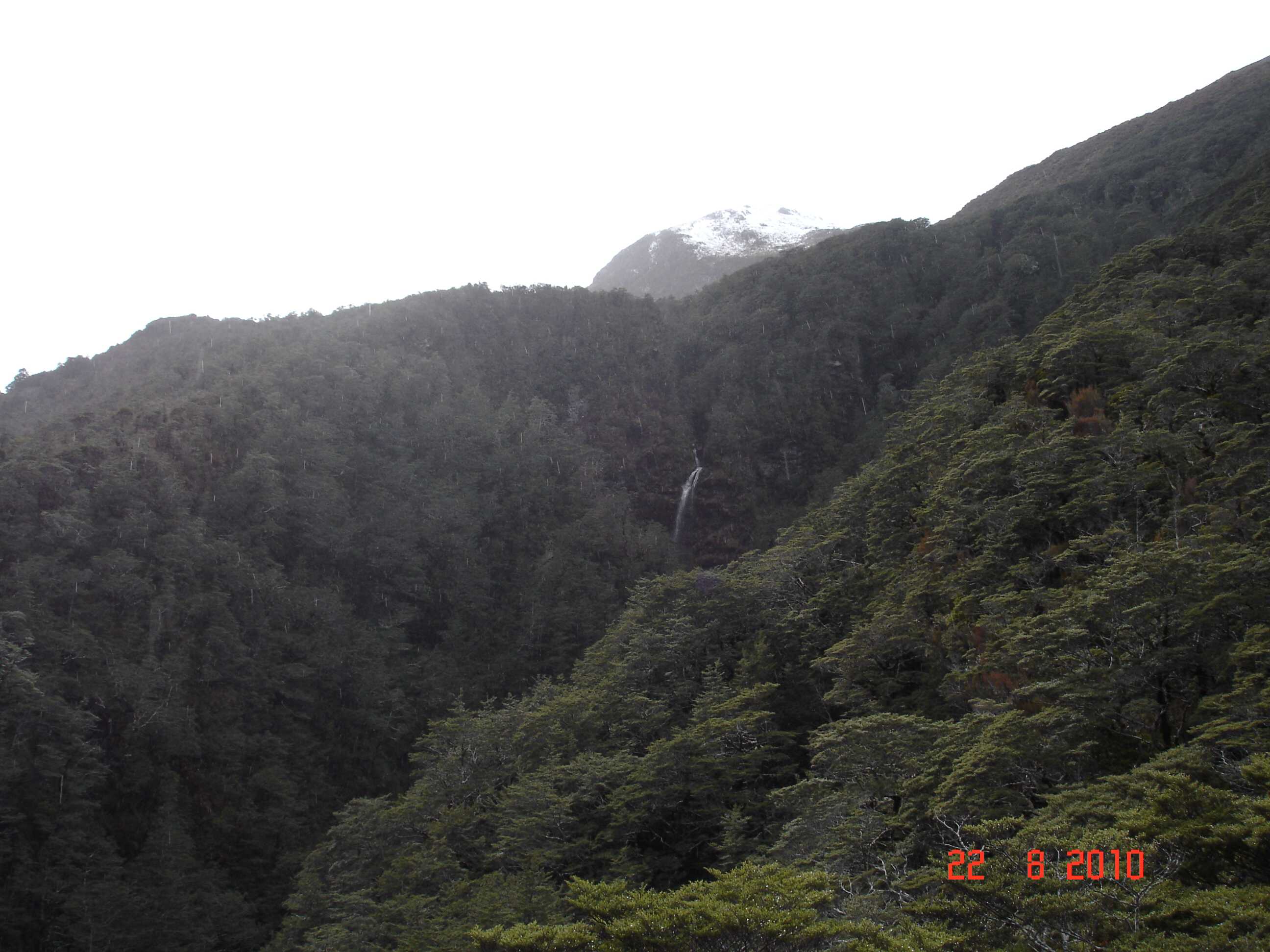 Arthur's Pass National Park-4