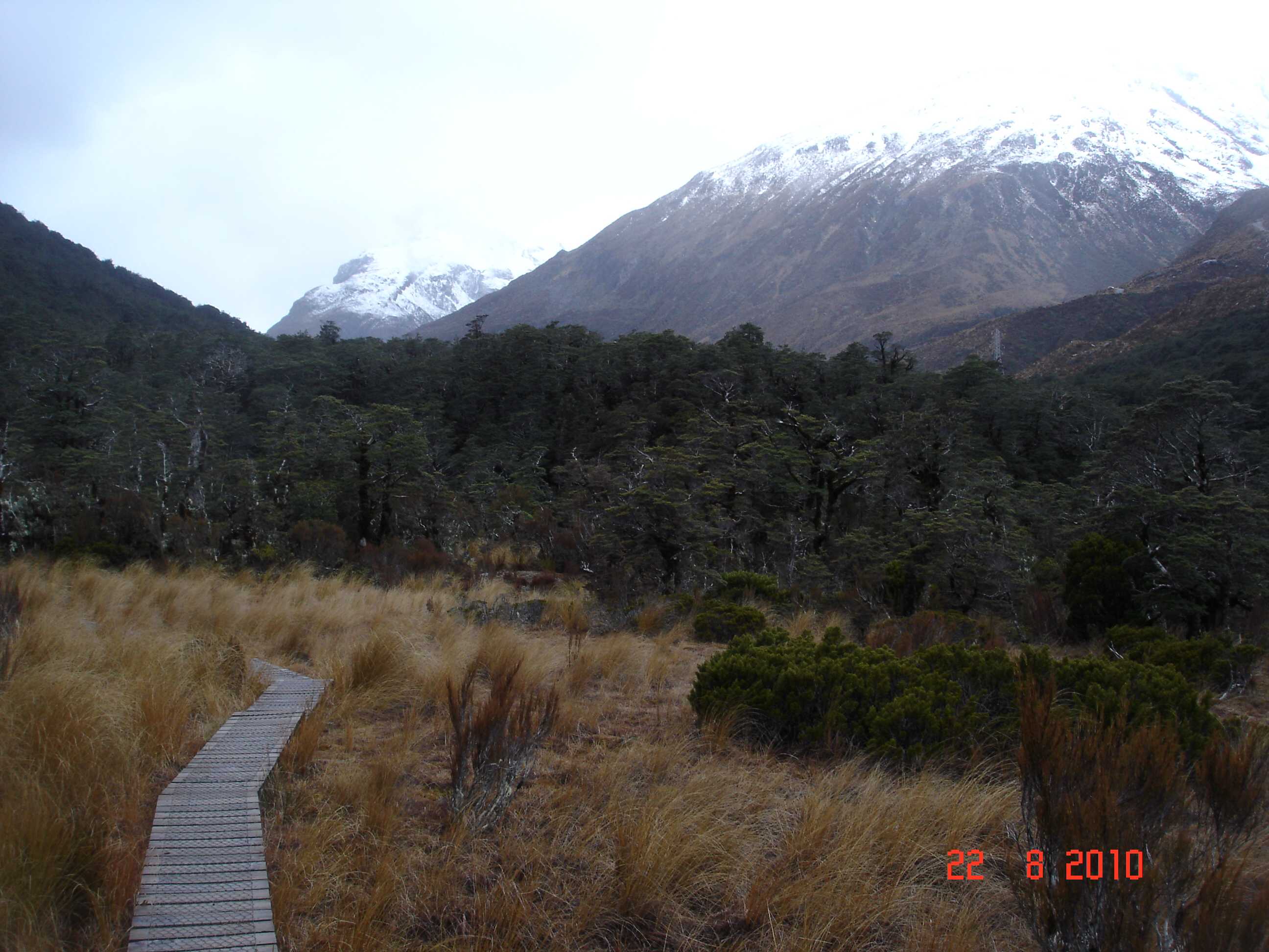 Arthur's Pass National Park-5