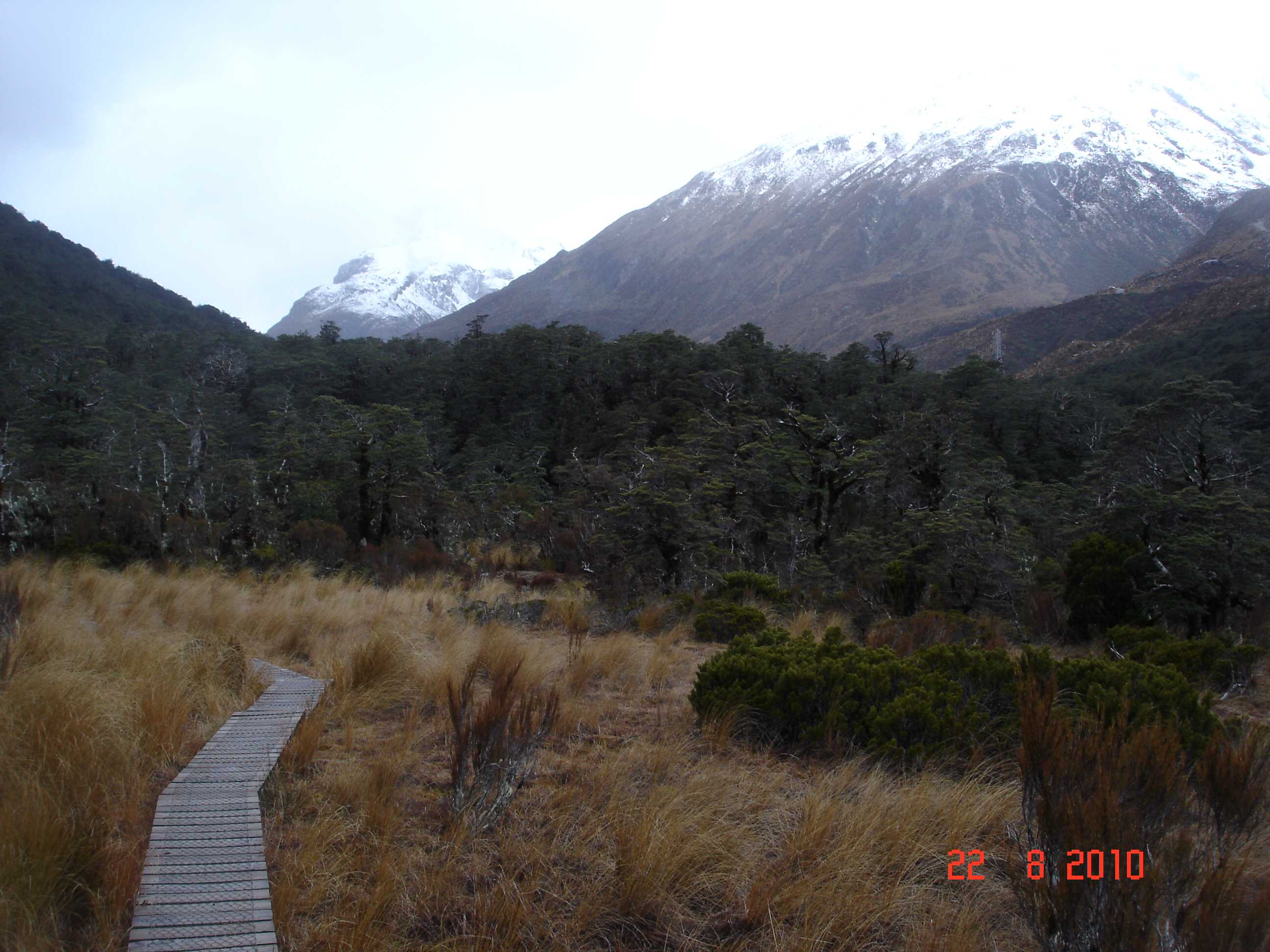 Arthur's Pass National Park-5