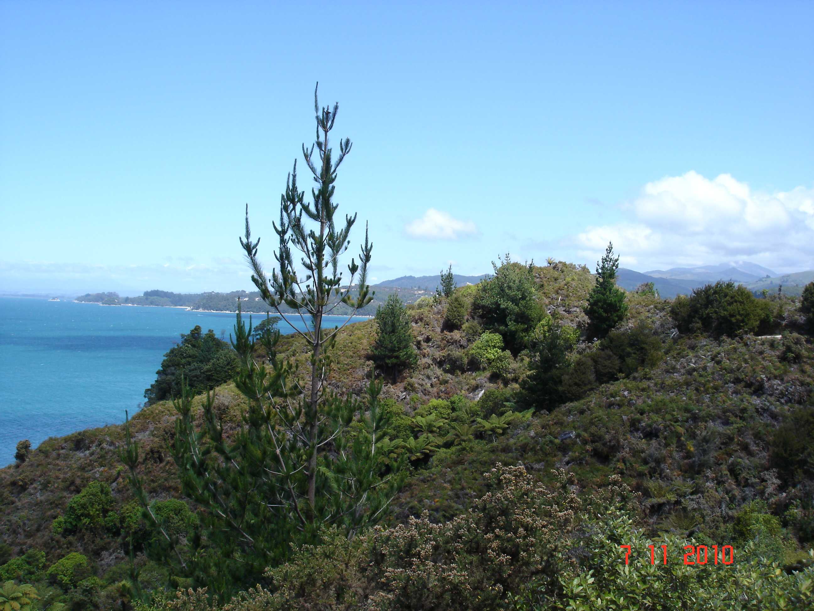 Abel Tasman National Park-18