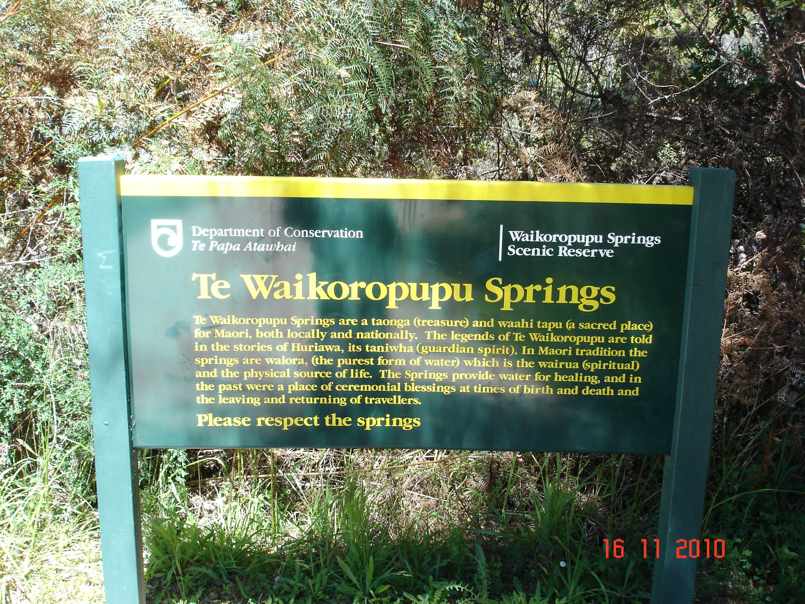 Te Waikoropupu Springs-1