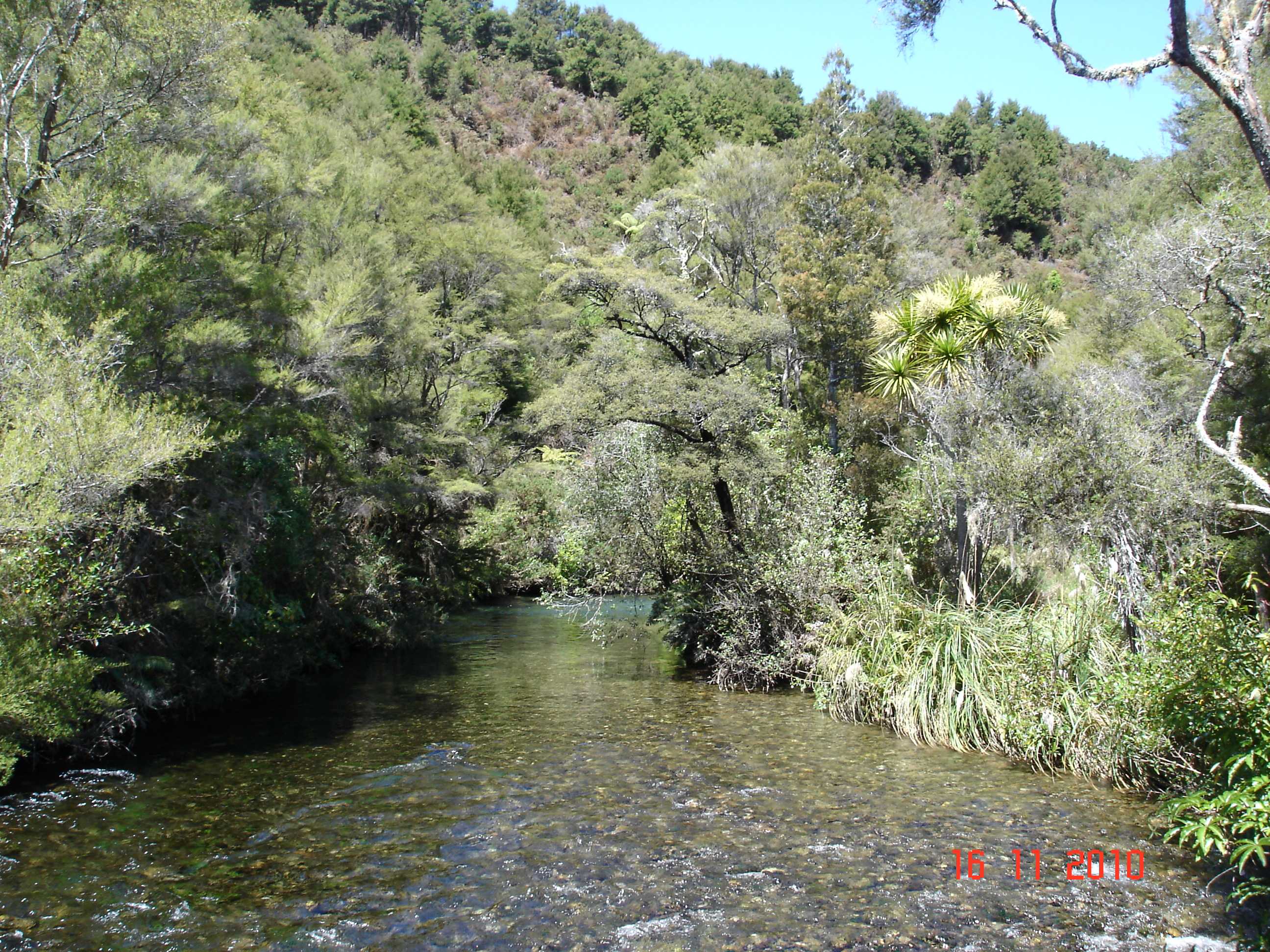 Te Waikoropupu Springs-2