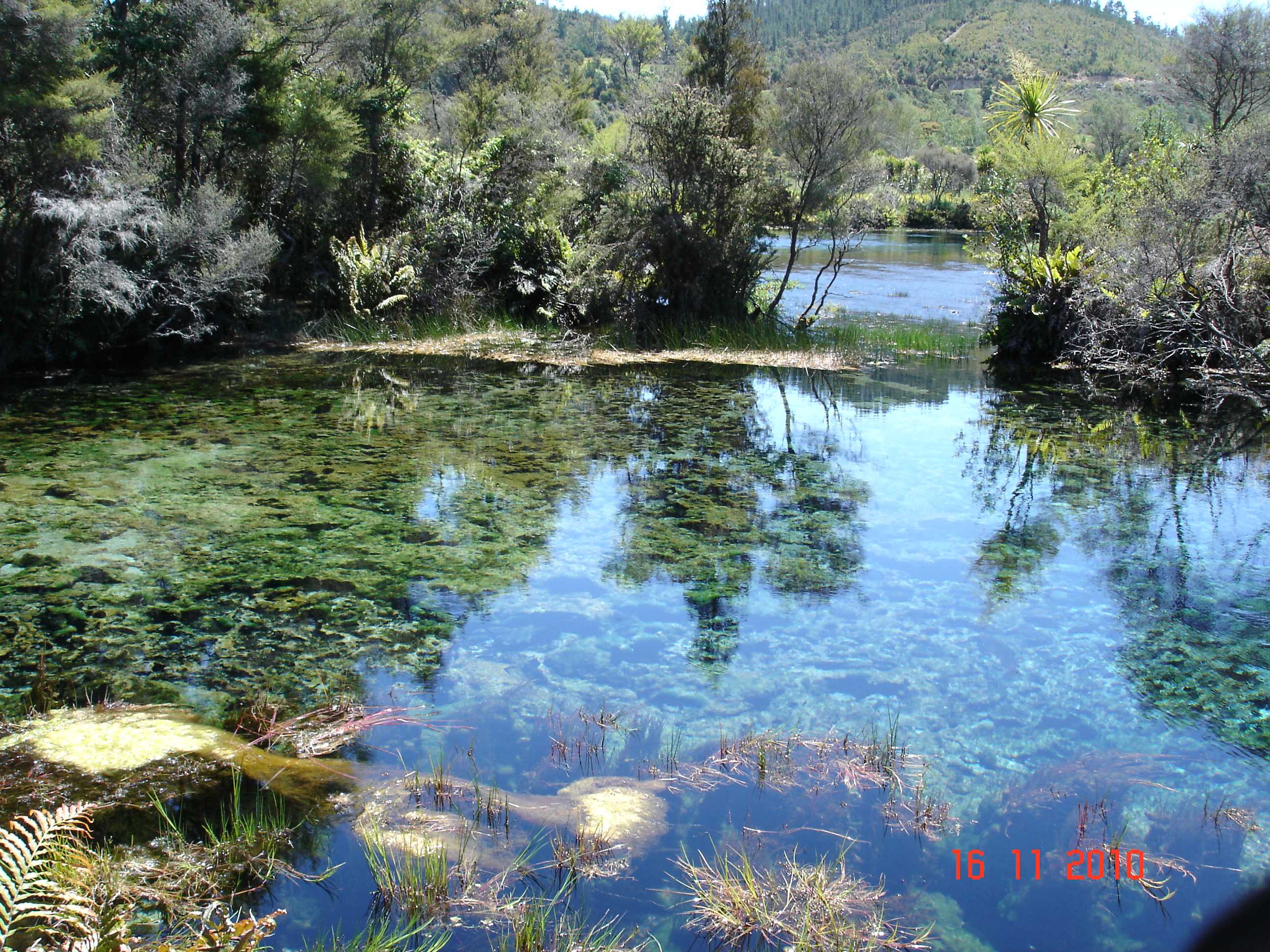 Te Waikoropupu Springs-3