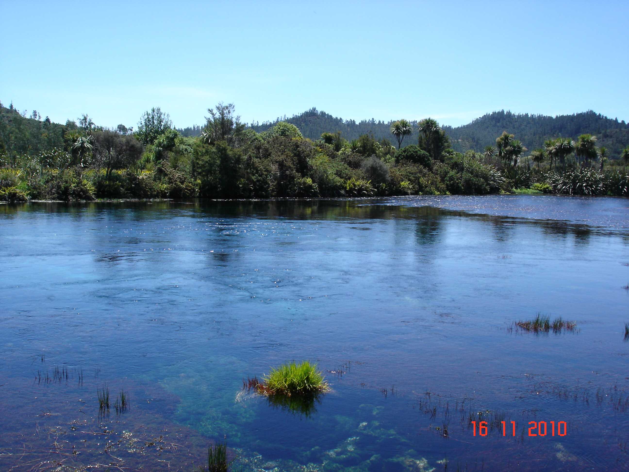 Te Waikoropupu Springs-7