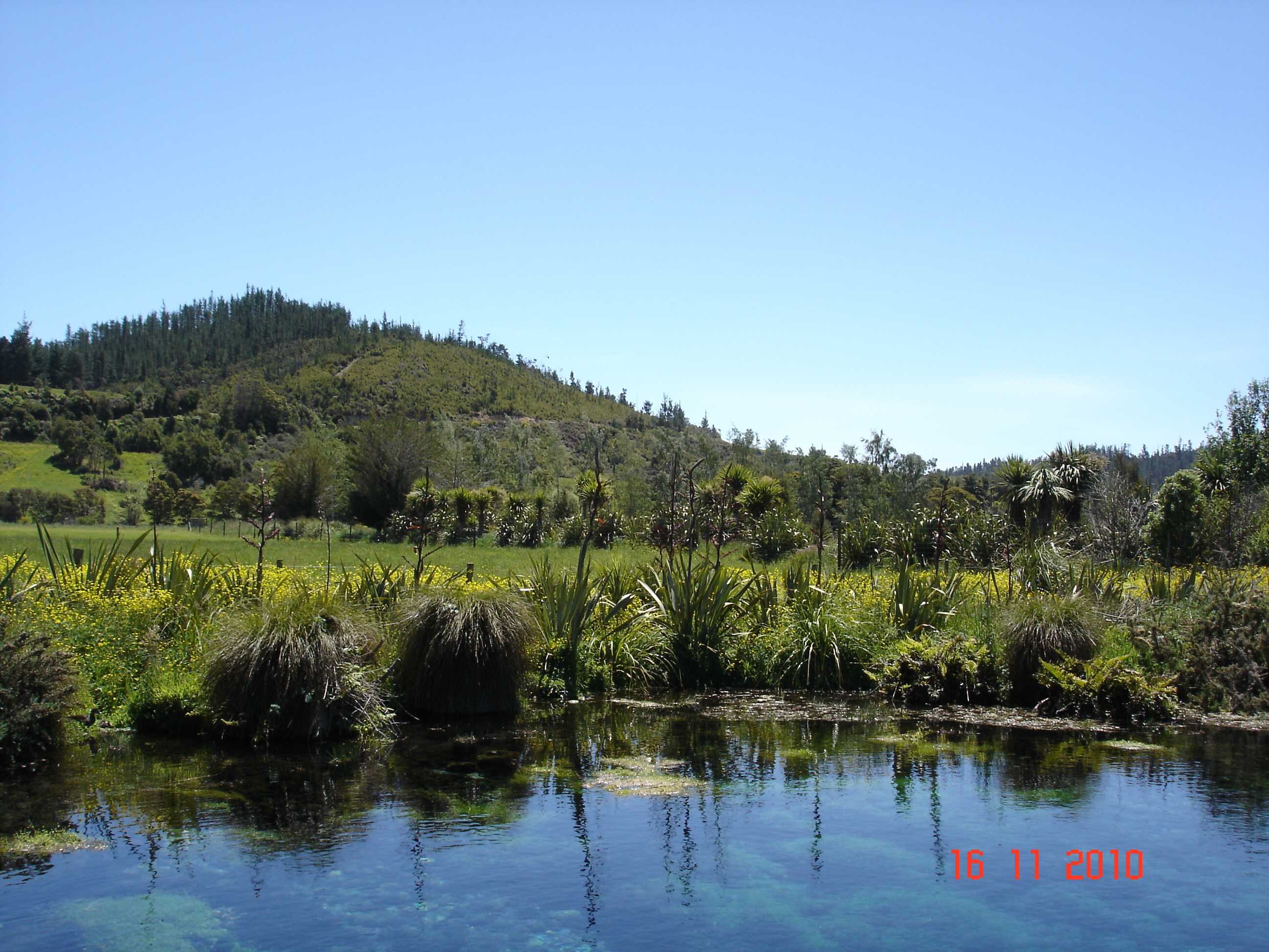 Te Waikoropupu Springs-11