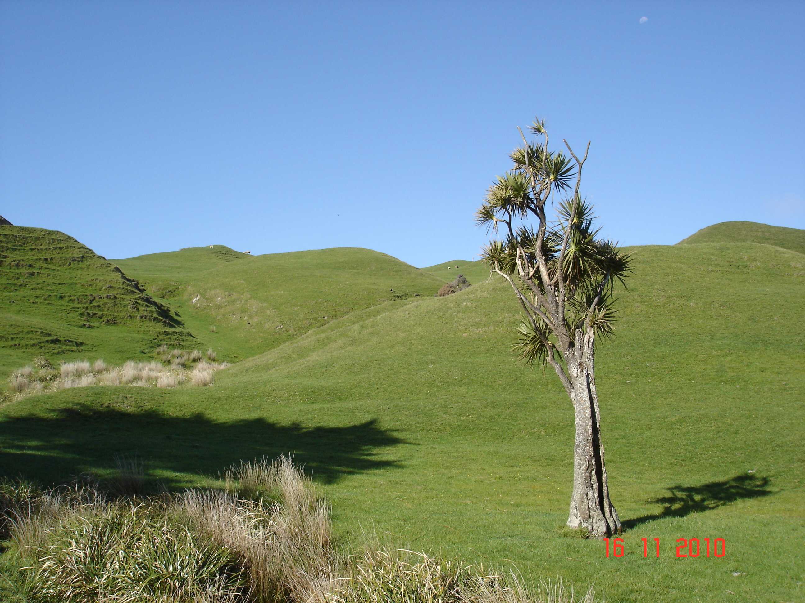 Cape Farewell-2