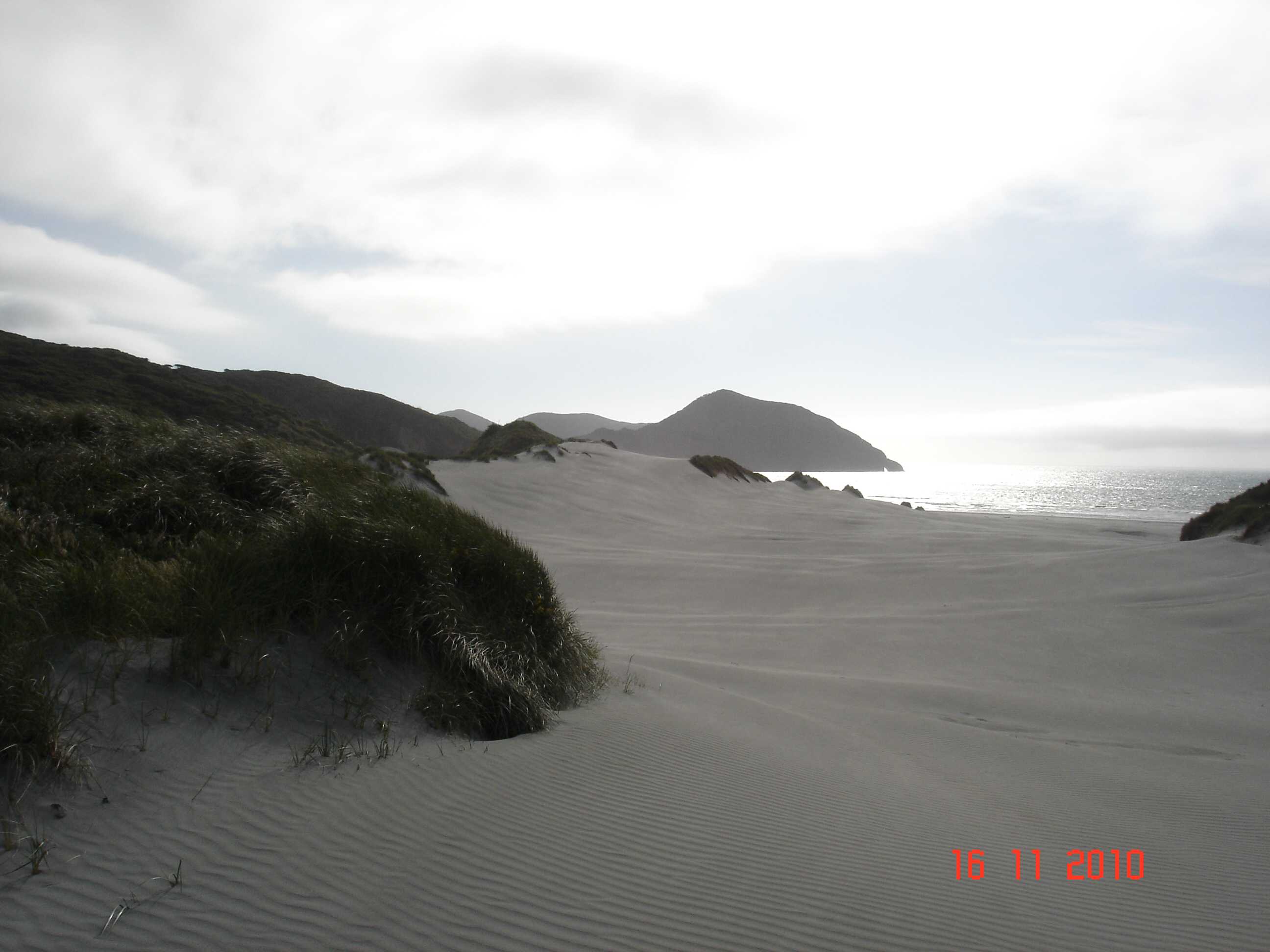 Wharariki Beach-5