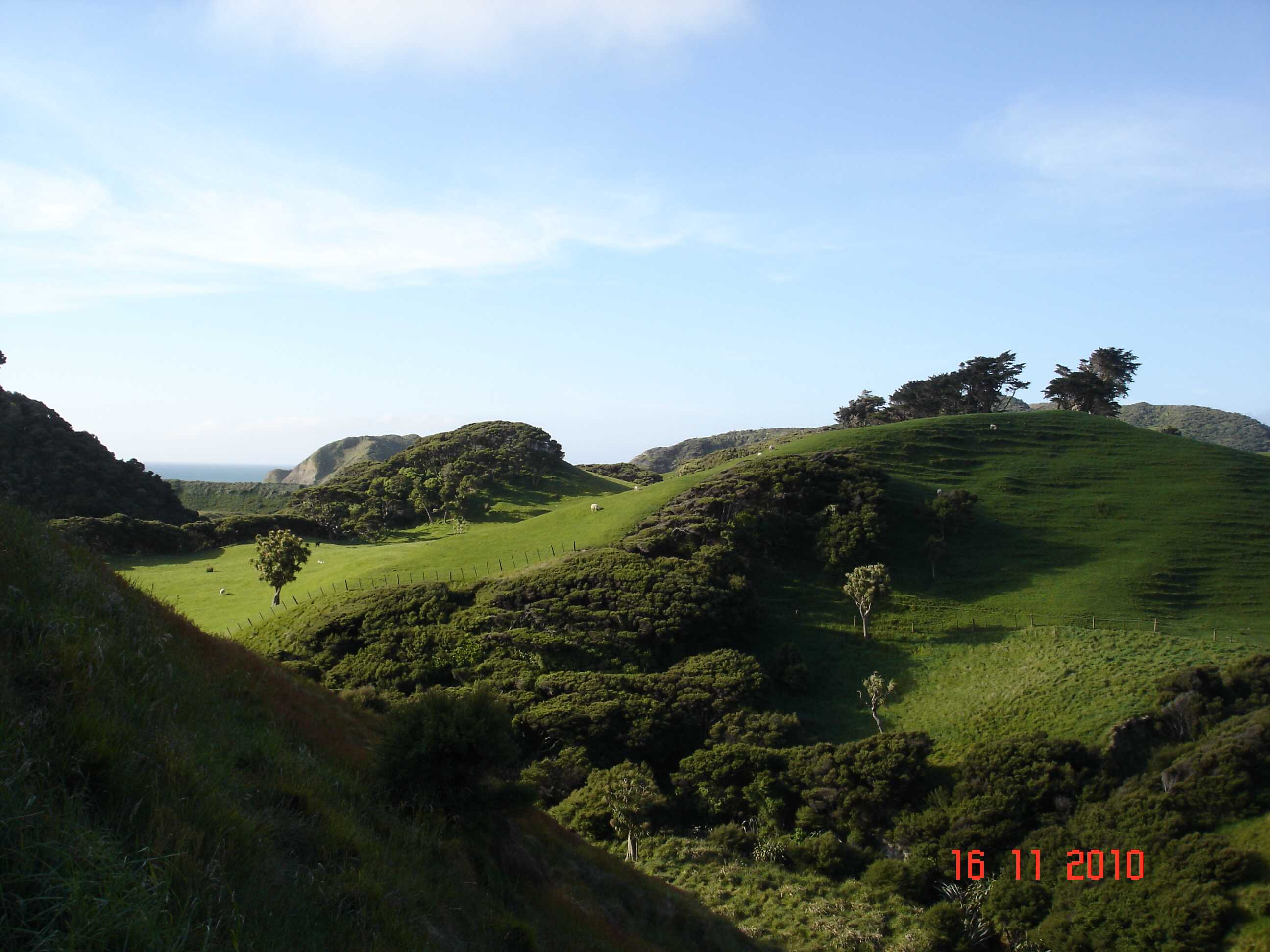Hilltop Walk-18