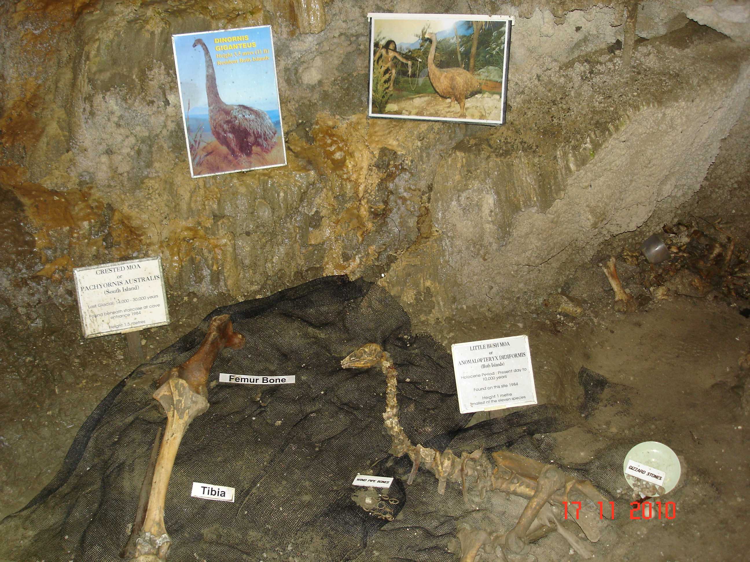 Ngarua Cave-1