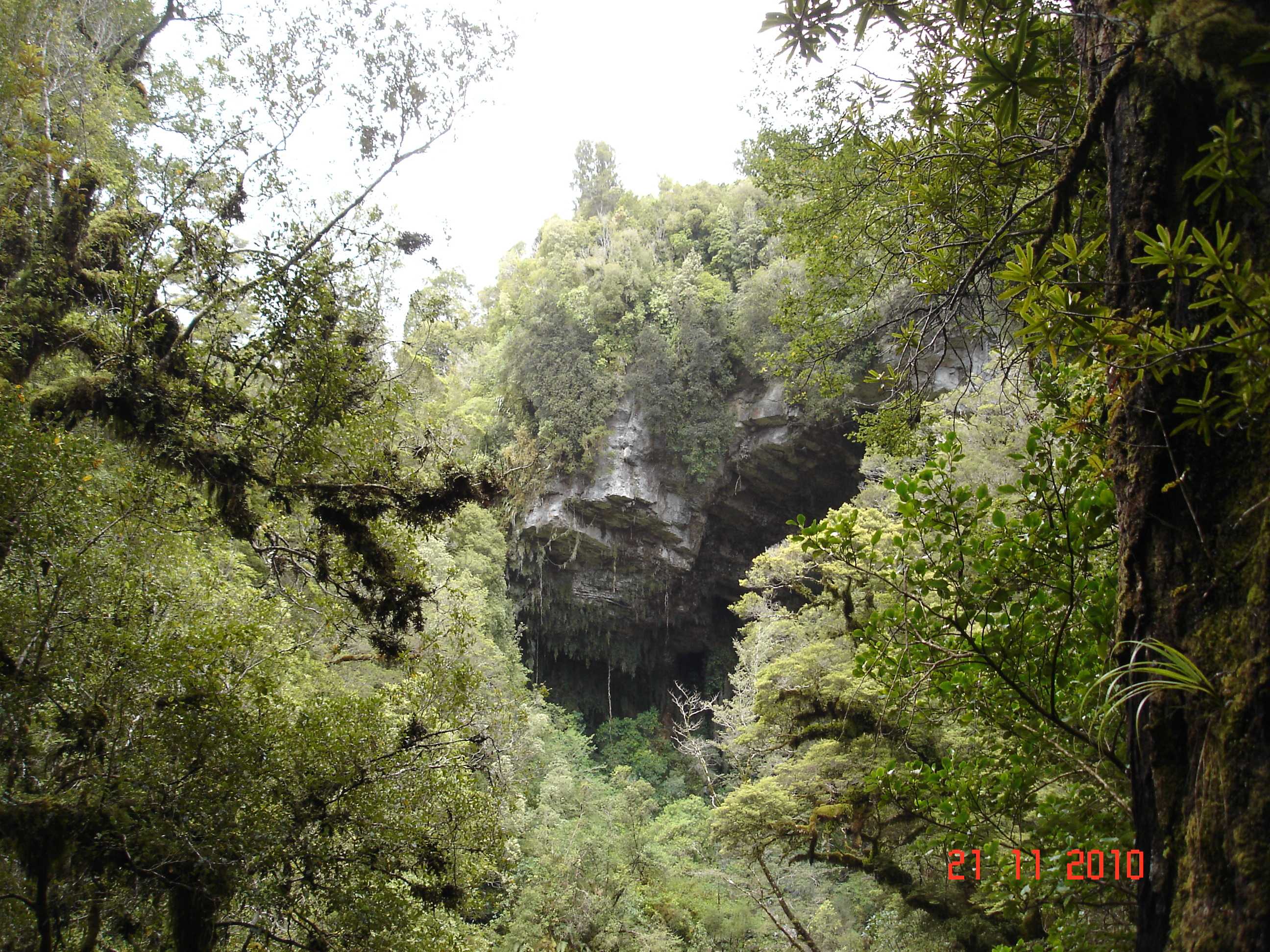 Oparara Arch Track-10