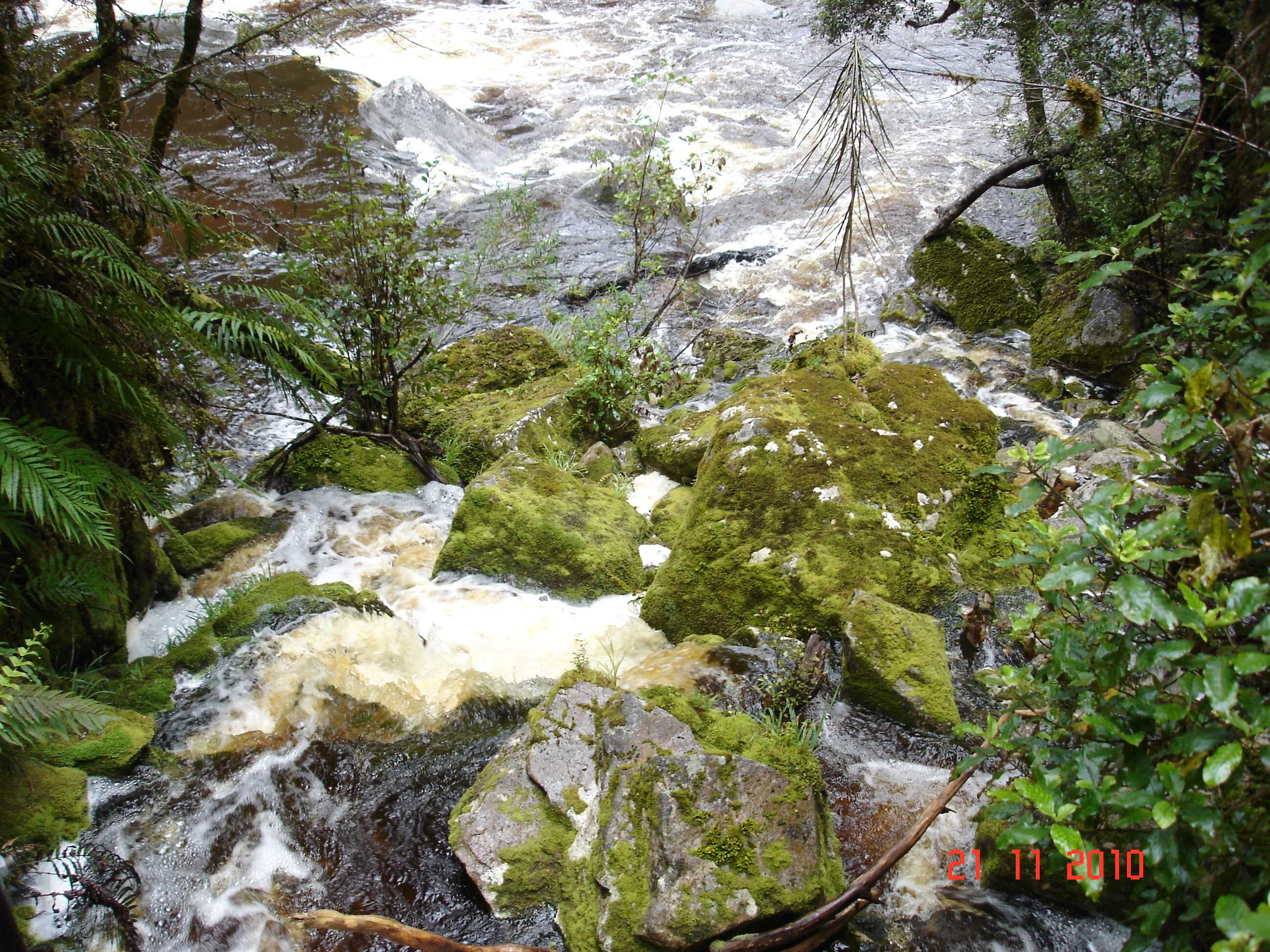 Oparara Arch Track-12