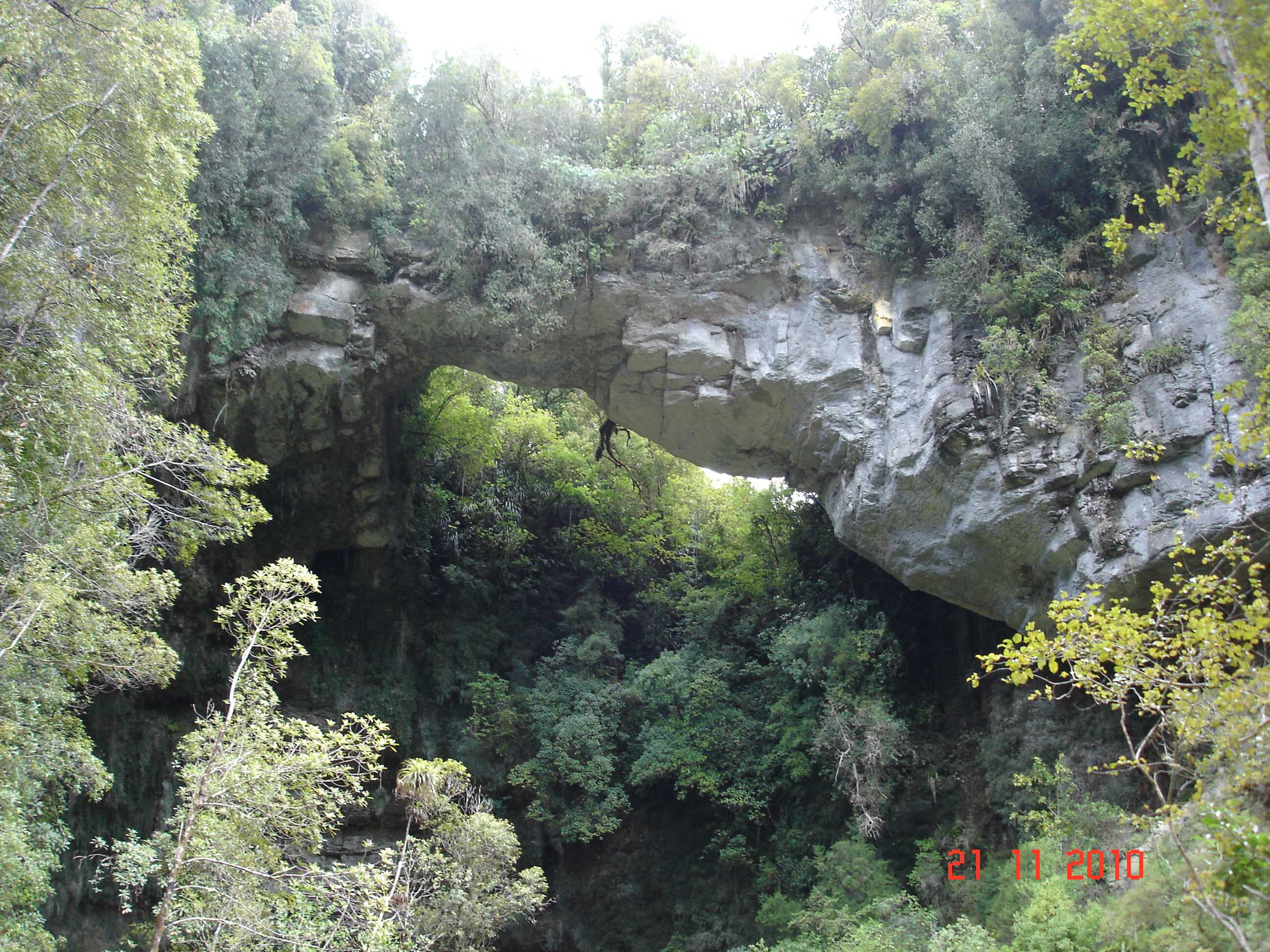 Oparara Arch Track-14