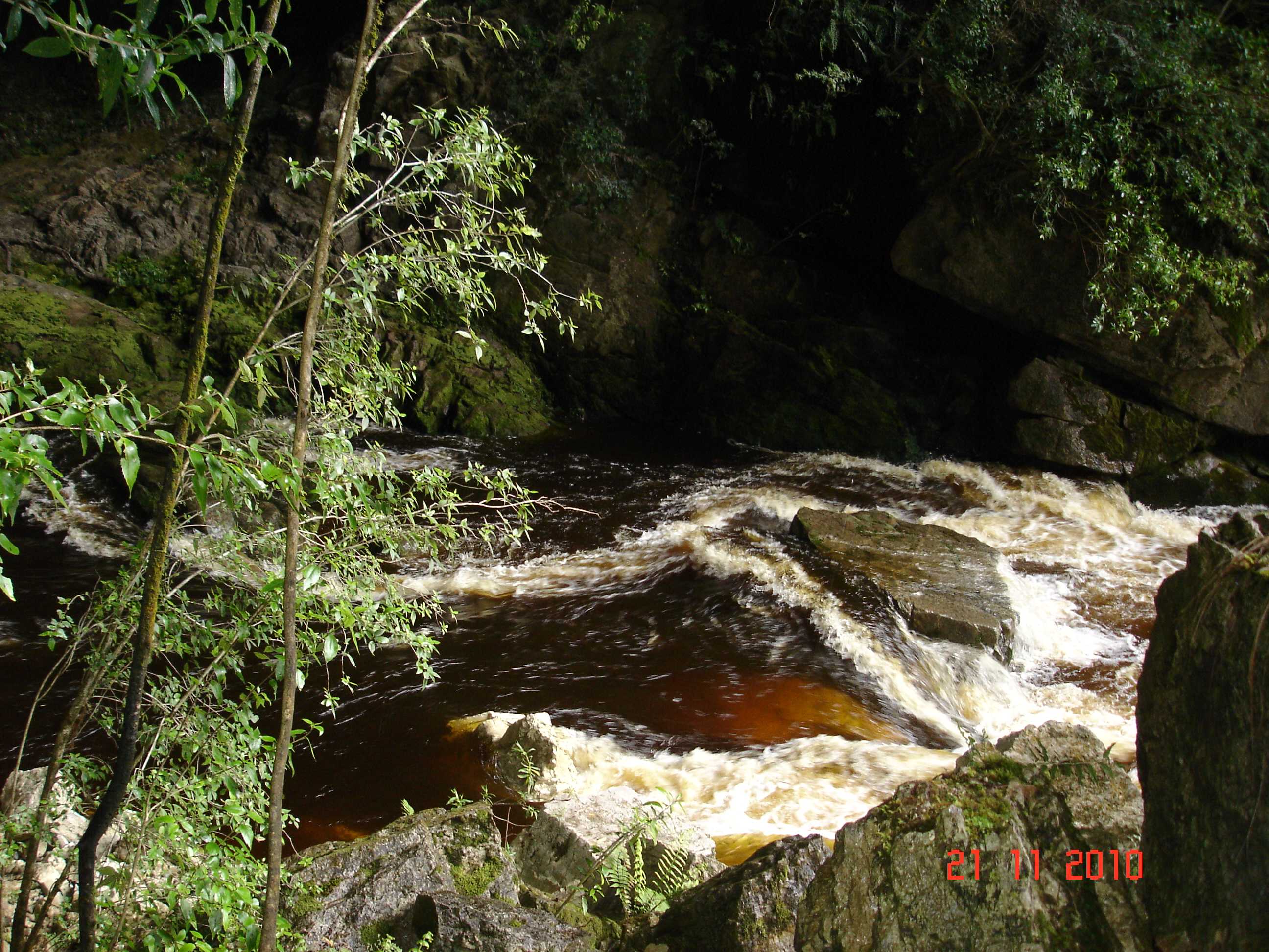 Oparara Arch Track-15