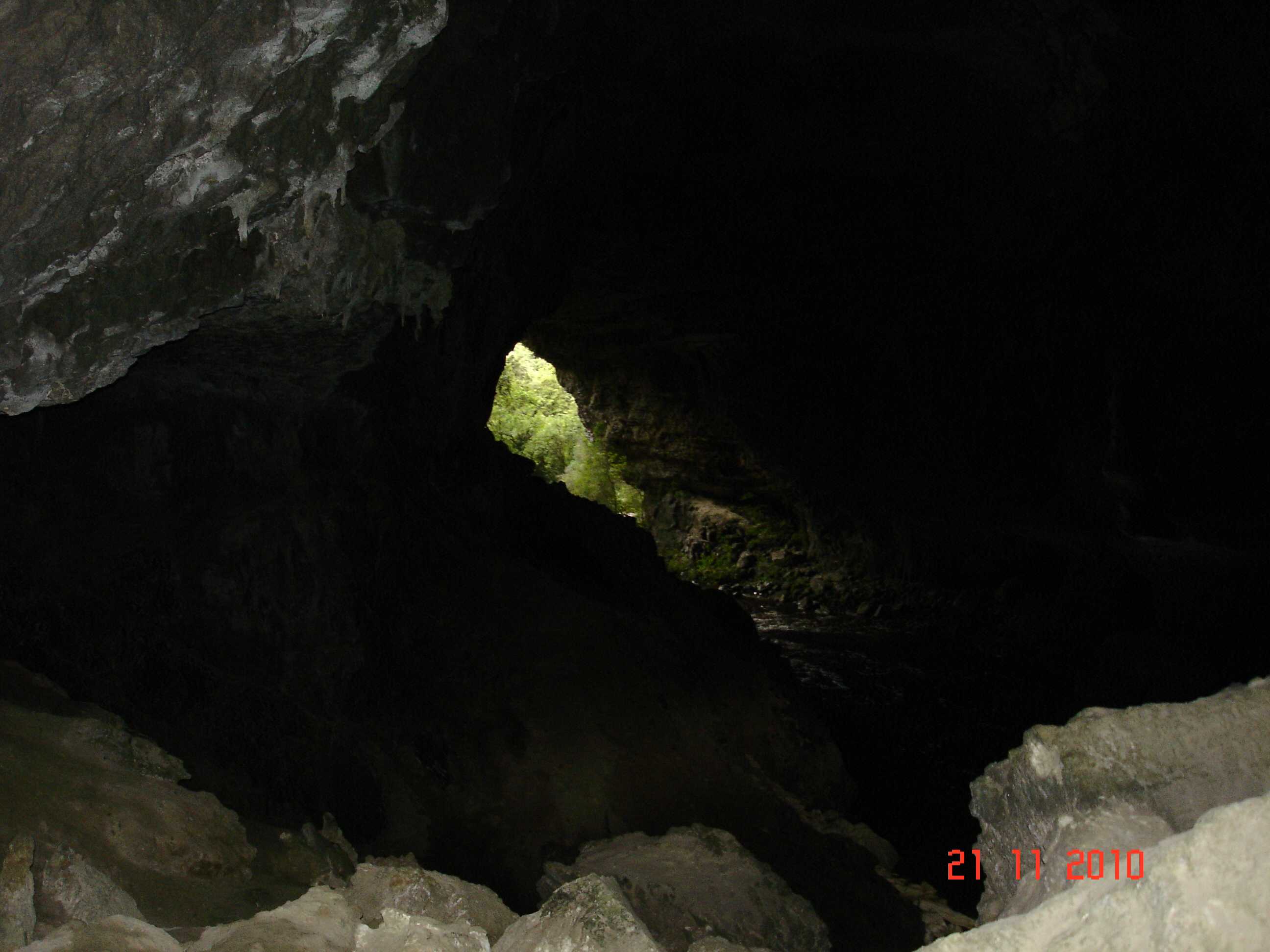 Oparara Arch Track-16